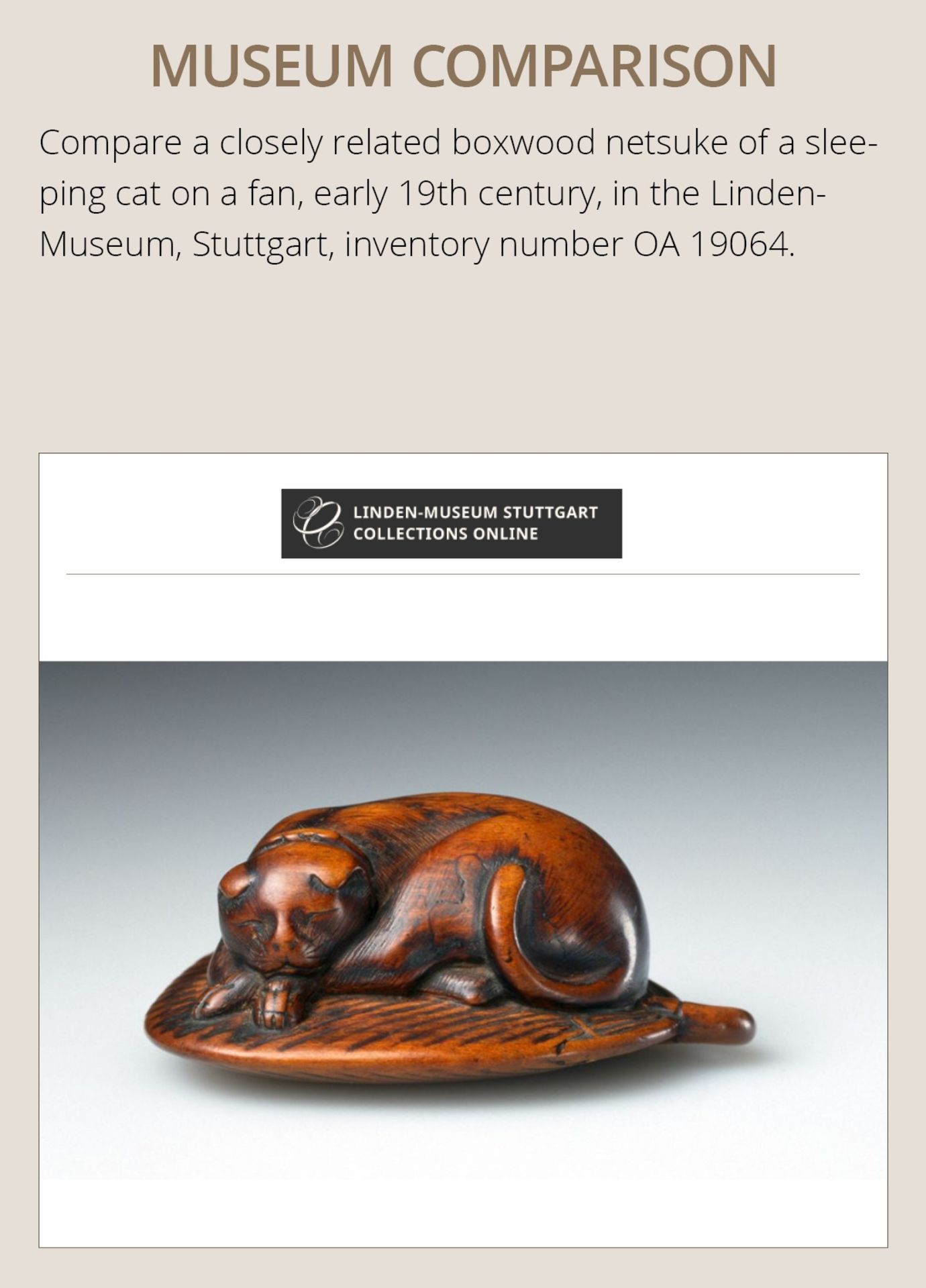 A WOOD NETSUKE OF A SLEEPING CAT ON A LEAF FAN - Image 4 of 7