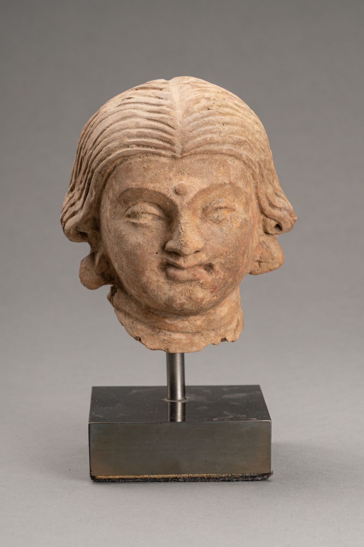 A TERRACOTTA HEAD OF A FEMALE BODHISATTVA, GANDHARA - Image 2 of 8