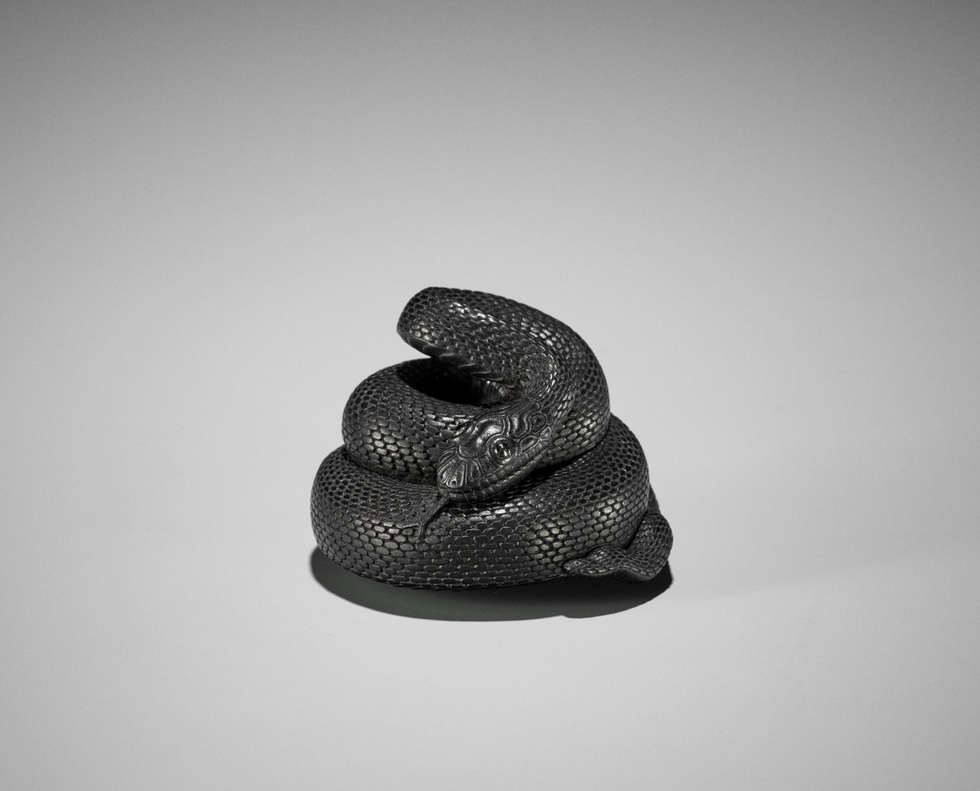 VADYM PYVOVAR: AN EBONY NETSUKE OF A COILED SNAKE AFTER MATSUDA SUKENAGA