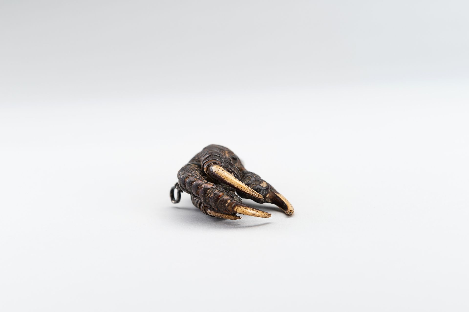 A LARGE NATURAL INU-WASHI EAGLE CLAW NETSUKE - Image 7 of 11