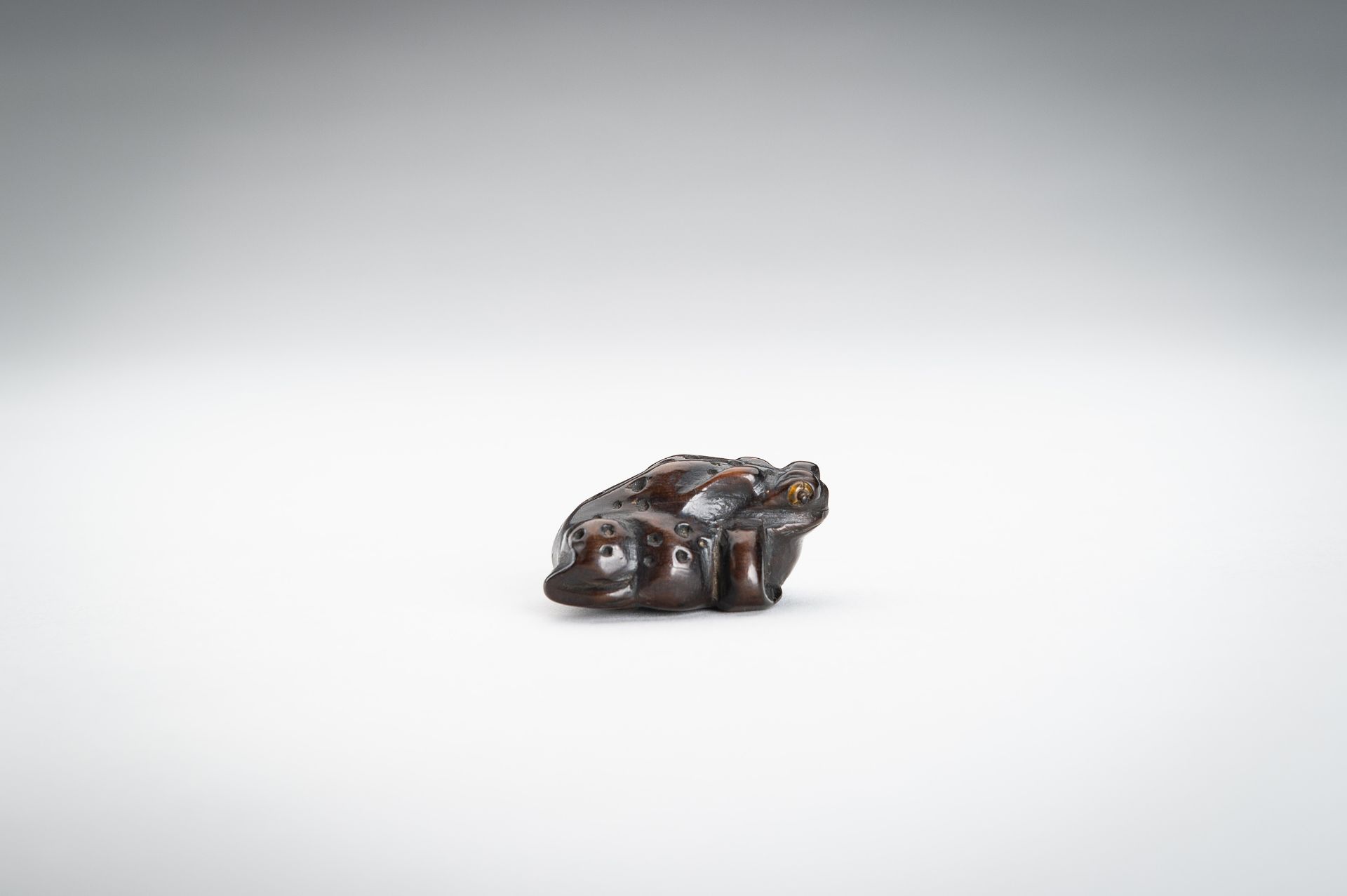 A WOOD NETSUKE OF A TOAD, MEIJI - Image 6 of 13