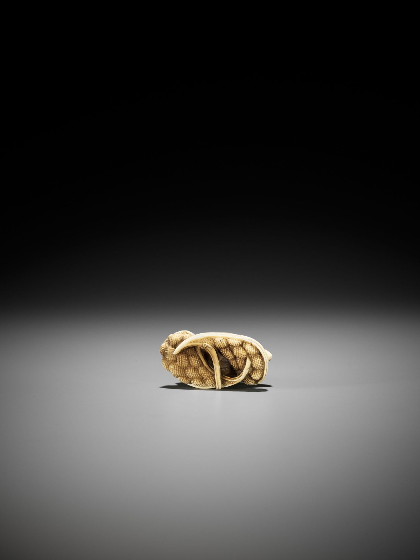 YOSHIKAZU: AN IVORY NETSUKE OF A QUIAL PERCHED ON MILLET - Image 10 of 14