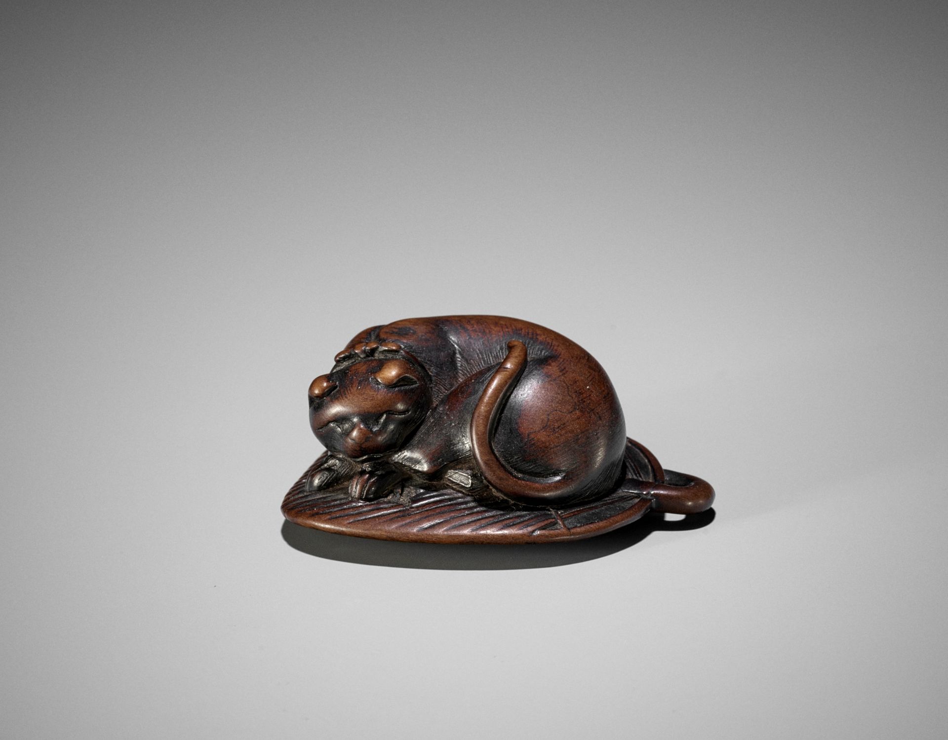 A WOOD NETSUKE OF A SLEEPING CAT ON A LEAF FAN