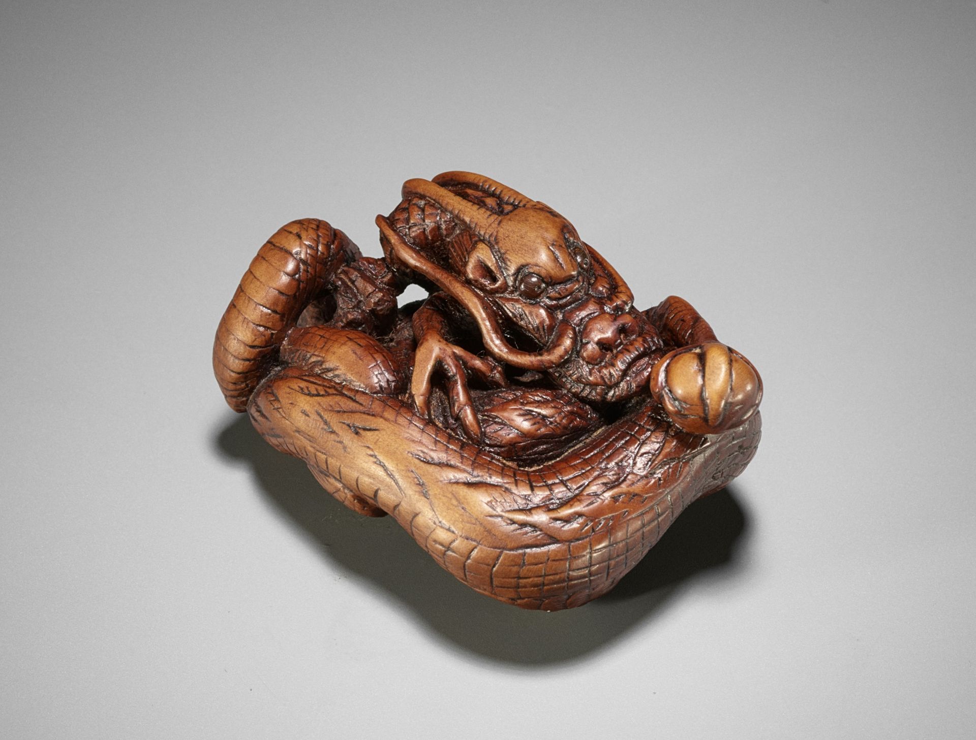 A SUPERB WOOD NETSUKE OF A COILED DRAGON