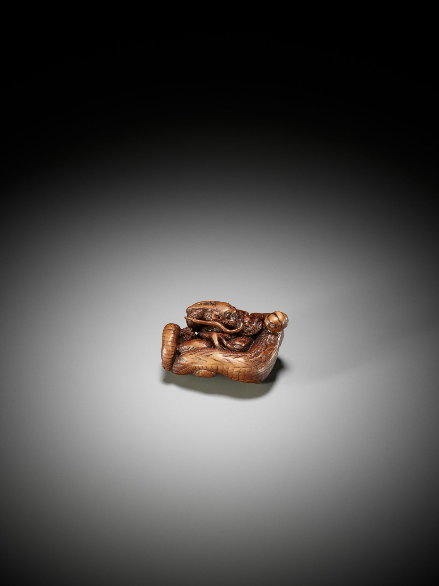 A SUPERB WOOD NETSUKE OF A COILED DRAGON - Image 11 of 14