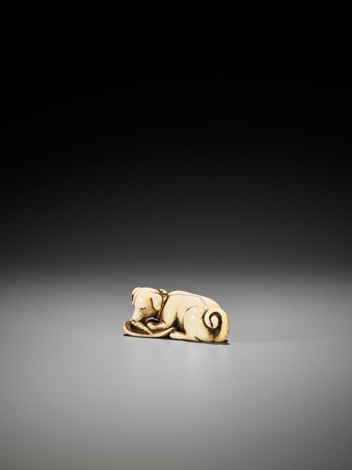 A SUPERB IVORY NETSUKE OF A DOG WITH SANDAL - Bild 4 aus 12