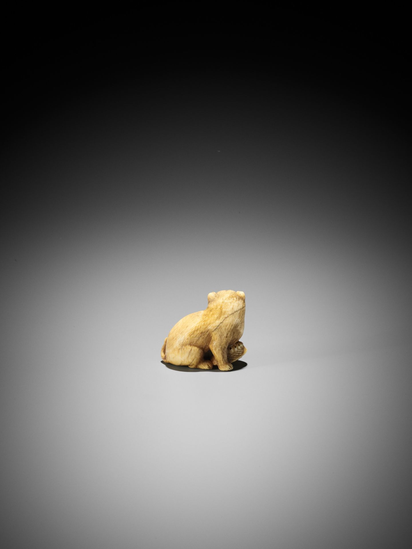 A GOOD KYOTO SCHOOL IVORY NETSUKE OF A PUPPY WITH AWABI - Bild 5 aus 9