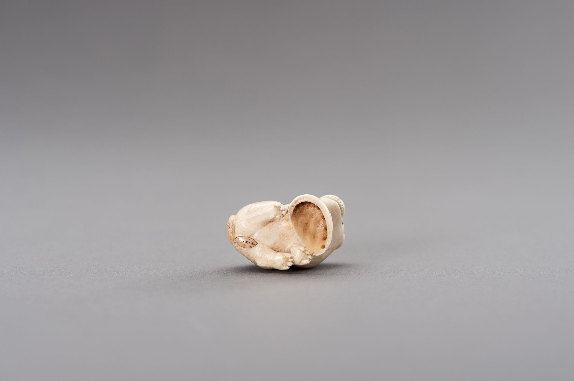 RANICHI: AN IVORY NETSUKE OF A PUPPY WITH AWABI - Image 8 of 11