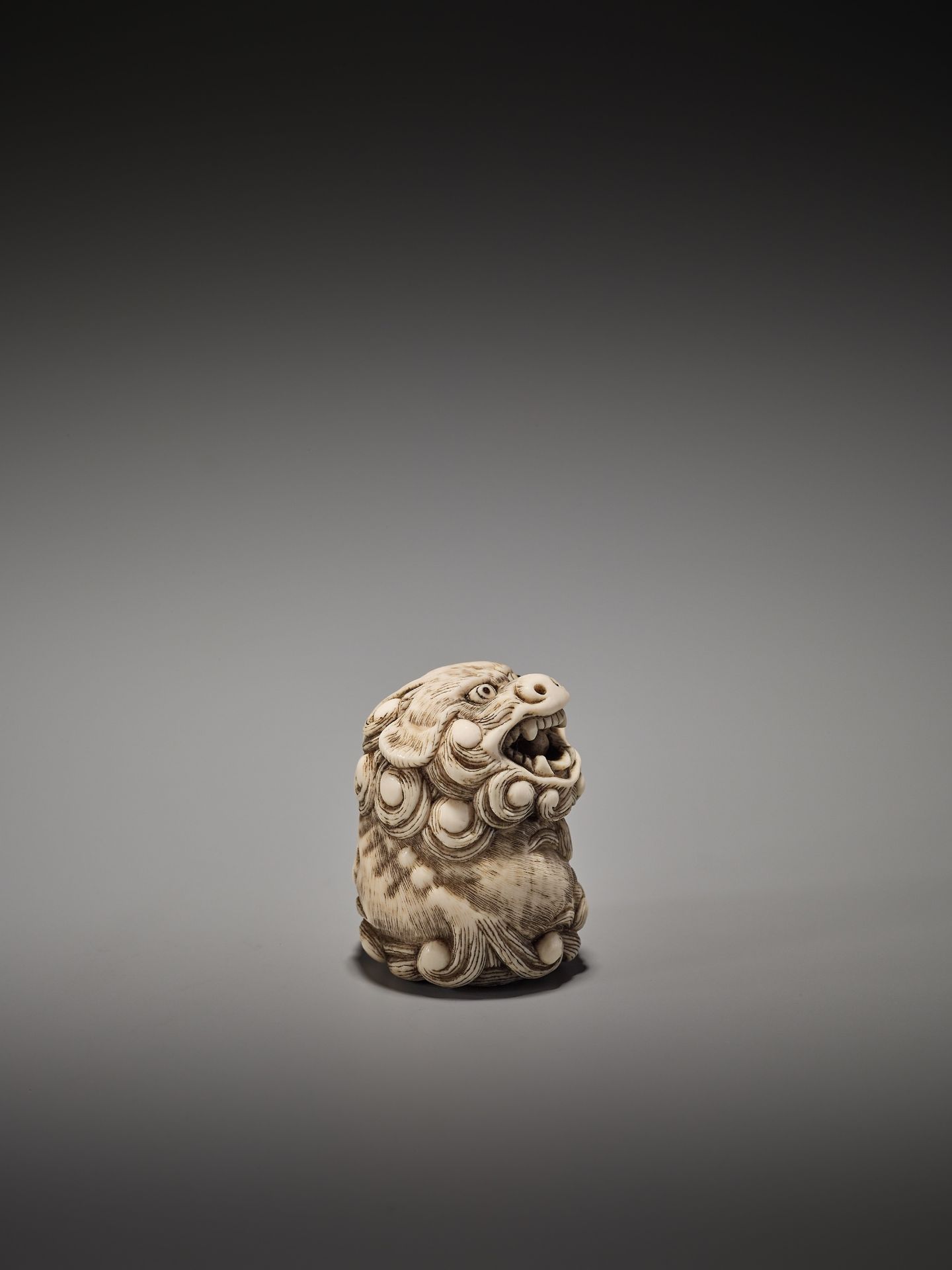 A GOOD IVORY NETSUKE OF A POWERFUL SHISHI ATTRIBUTED TO MITSUHARU - Image 6 of 8