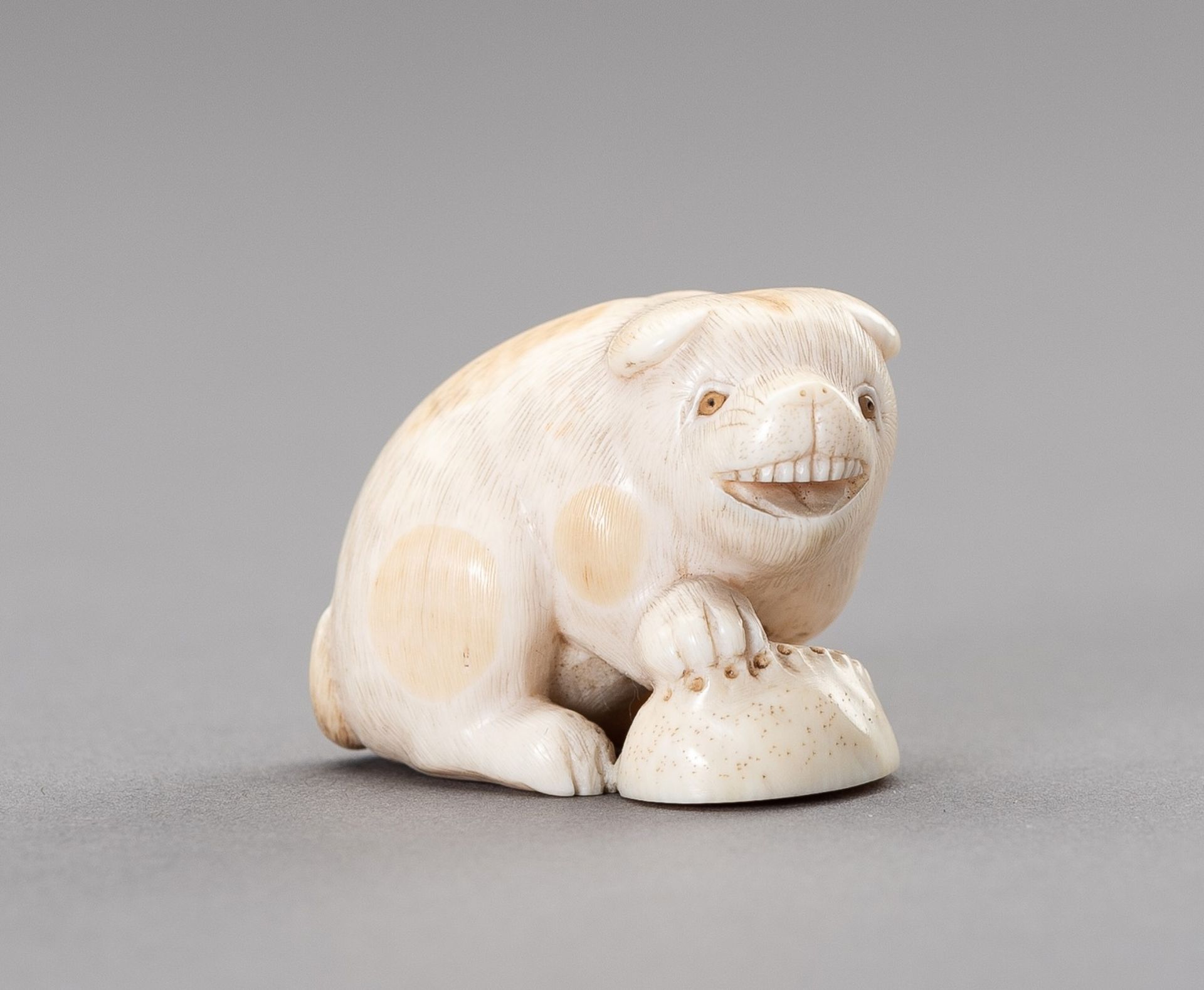 RANICHI: AN IVORY NETSUKE OF A PUPPY WITH AWABI