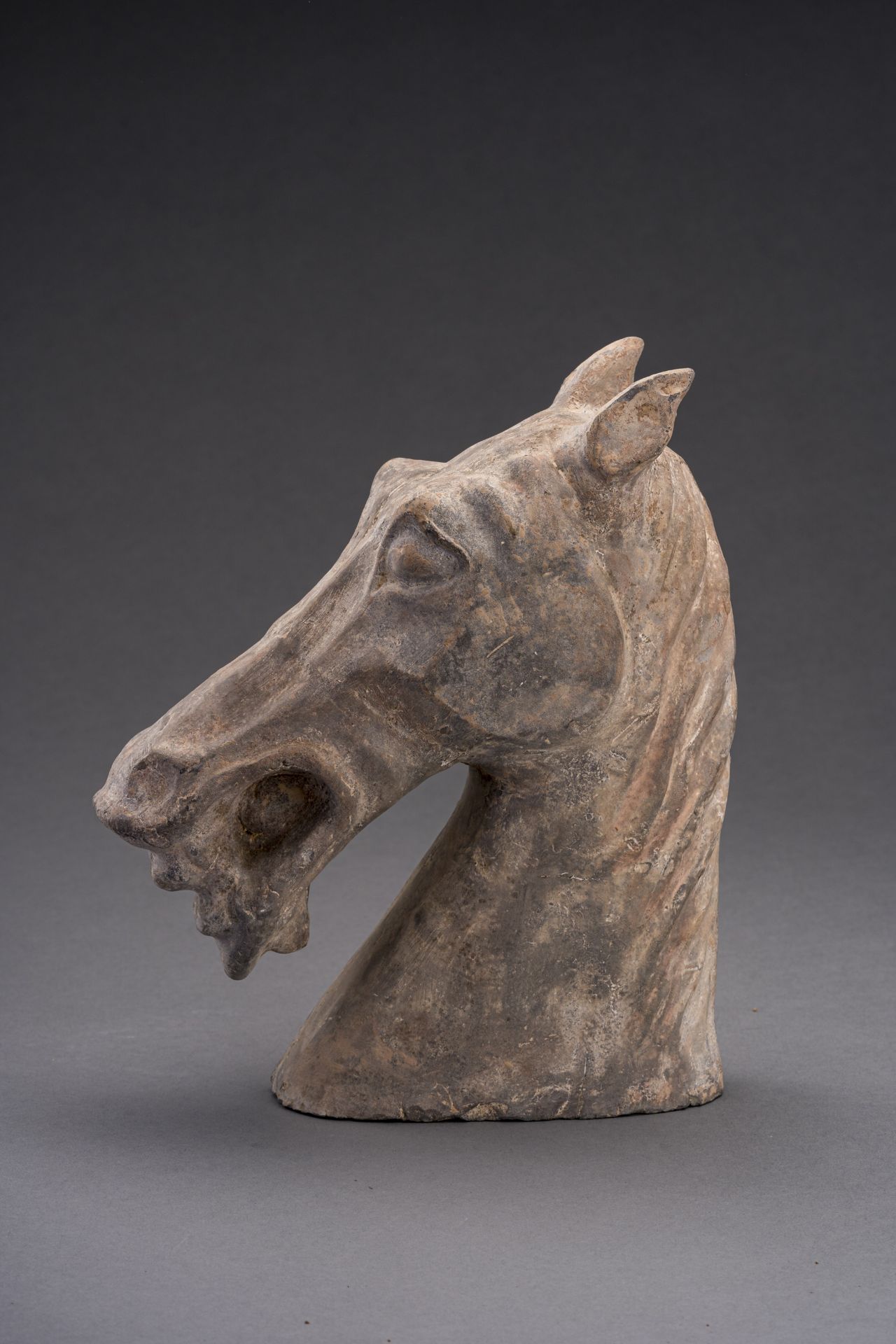 A POTTERY HORSE HEAD, HAN DYNASTY - Image 4 of 6