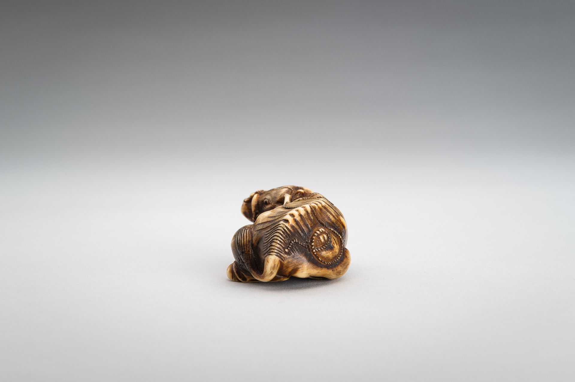 A STAG ANTLER NETSUKE OF RECUMBENT OX - Image 8 of 11