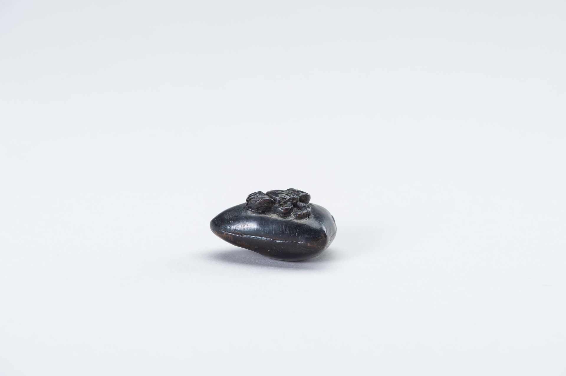 AN EBONY NETSUKE OF A HAMAGURI CLAM WITH CRAB AND OCTOPUS - Image 8 of 12