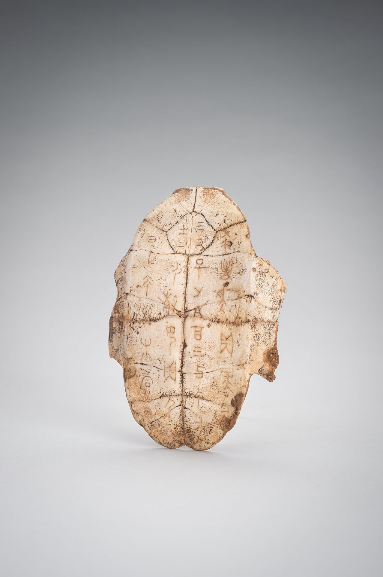 AN INSCRIBED SHANG DYNASTY 'ORACLE BONE' TURTLE PLASTRON, JIAGUWEN - Bild 4 aus 9