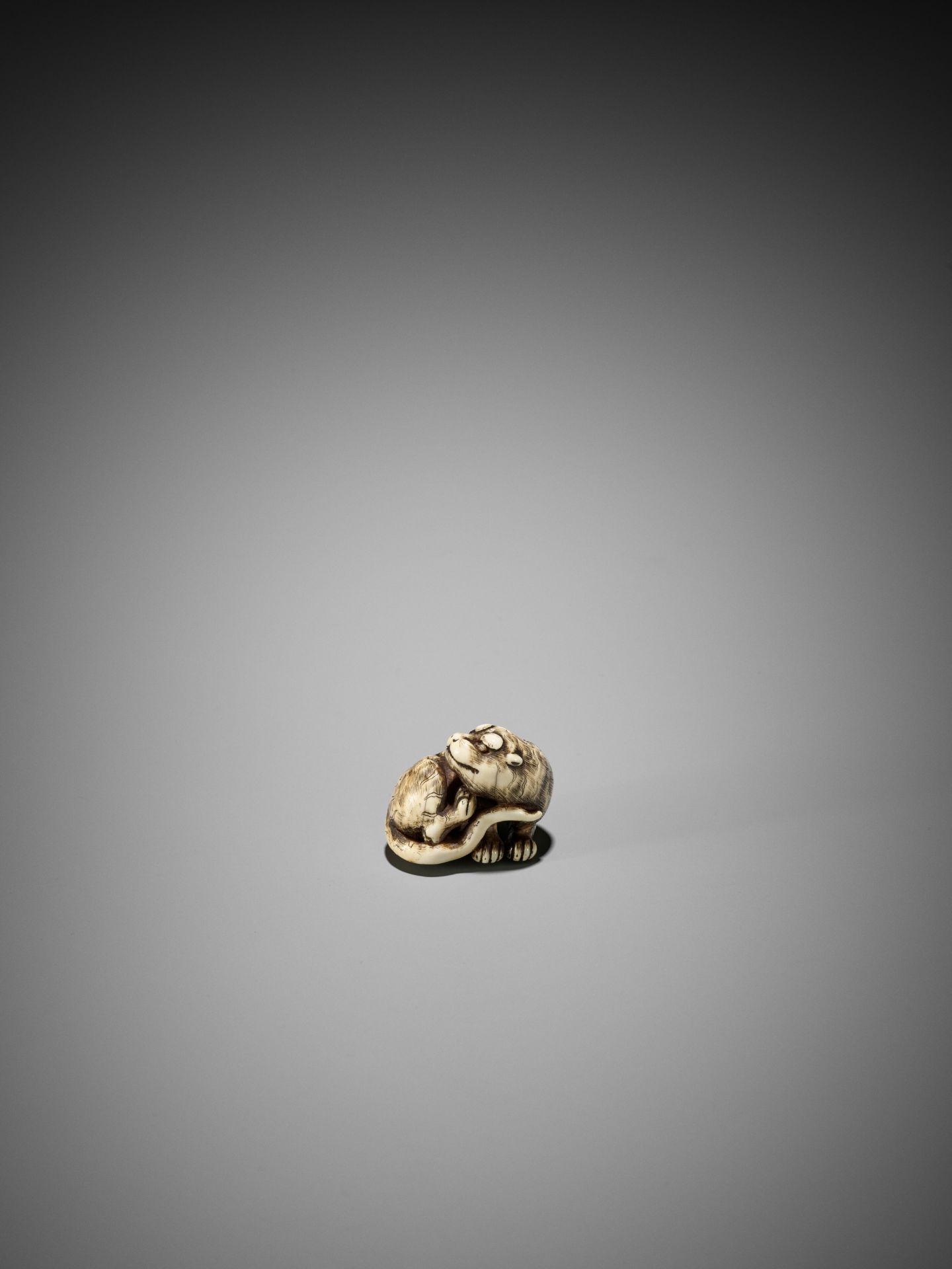 A GOOD KYOTO SCHOOL IVORY NETSUKE OF A TIGER - Image 9 of 15