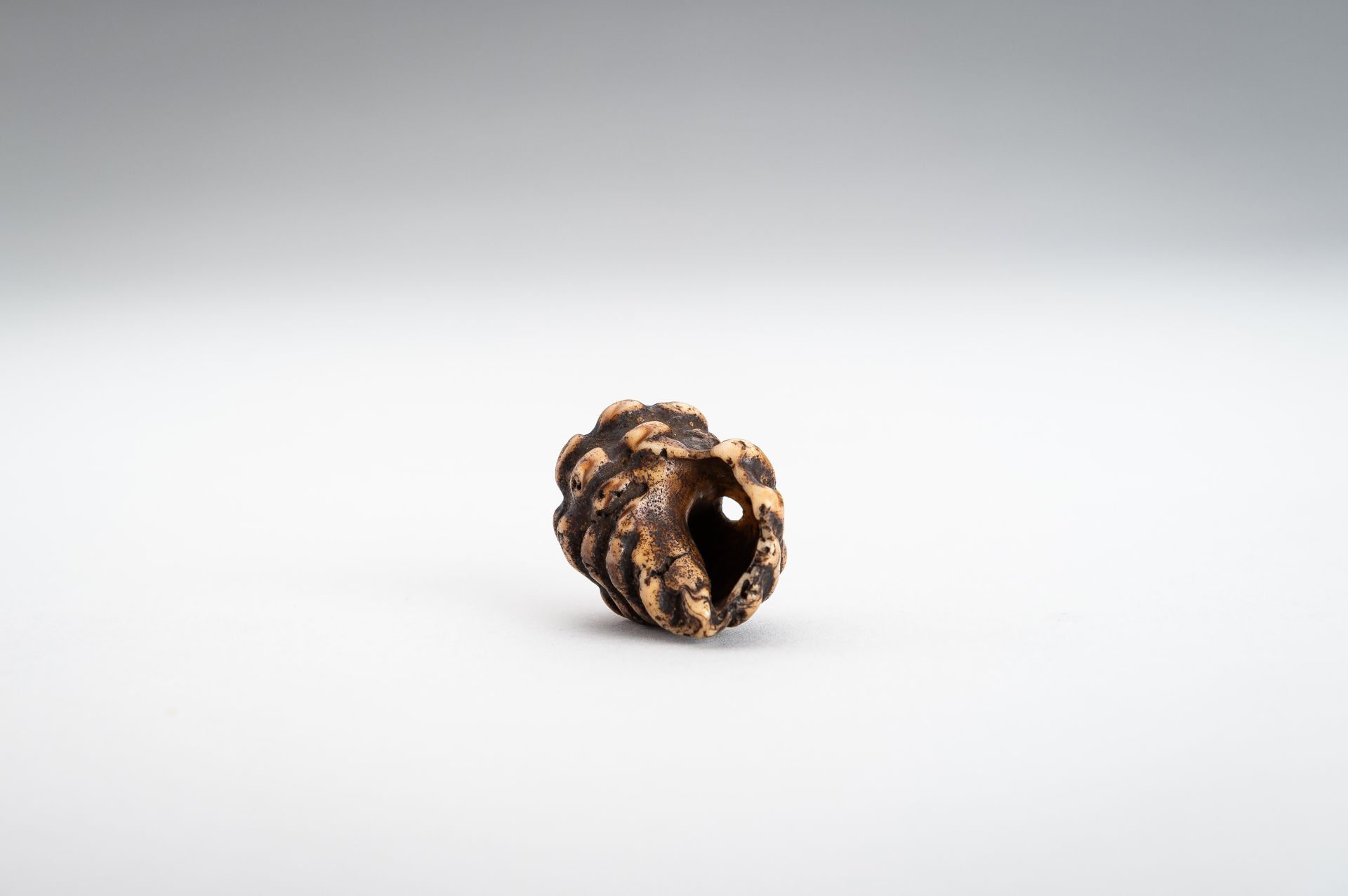 A STAG ANTLER NETSUKE OF A HORAGAI - Image 10 of 11
