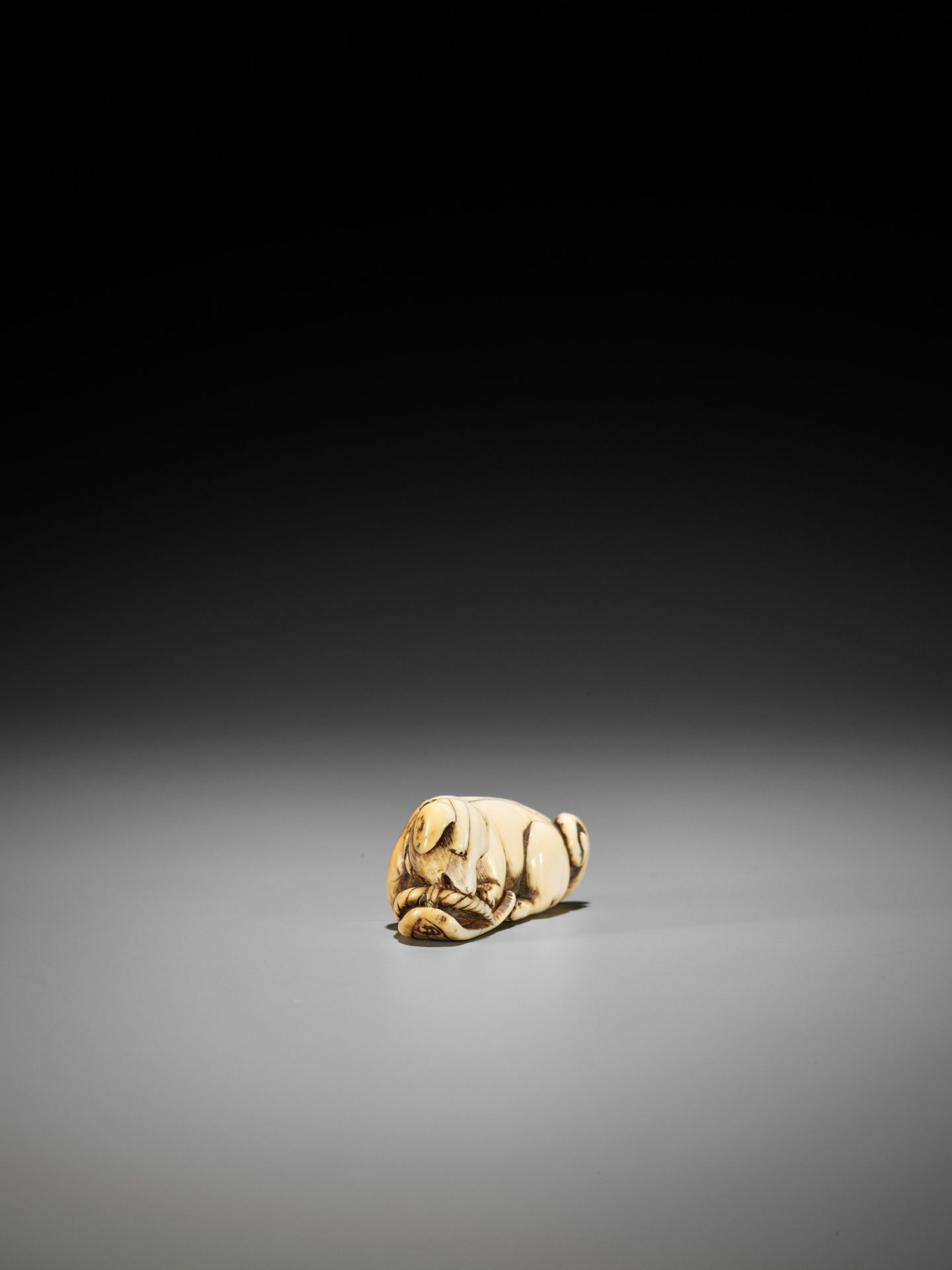 A SUPERB IVORY NETSUKE OF A DOG WITH SANDAL - Bild 9 aus 12