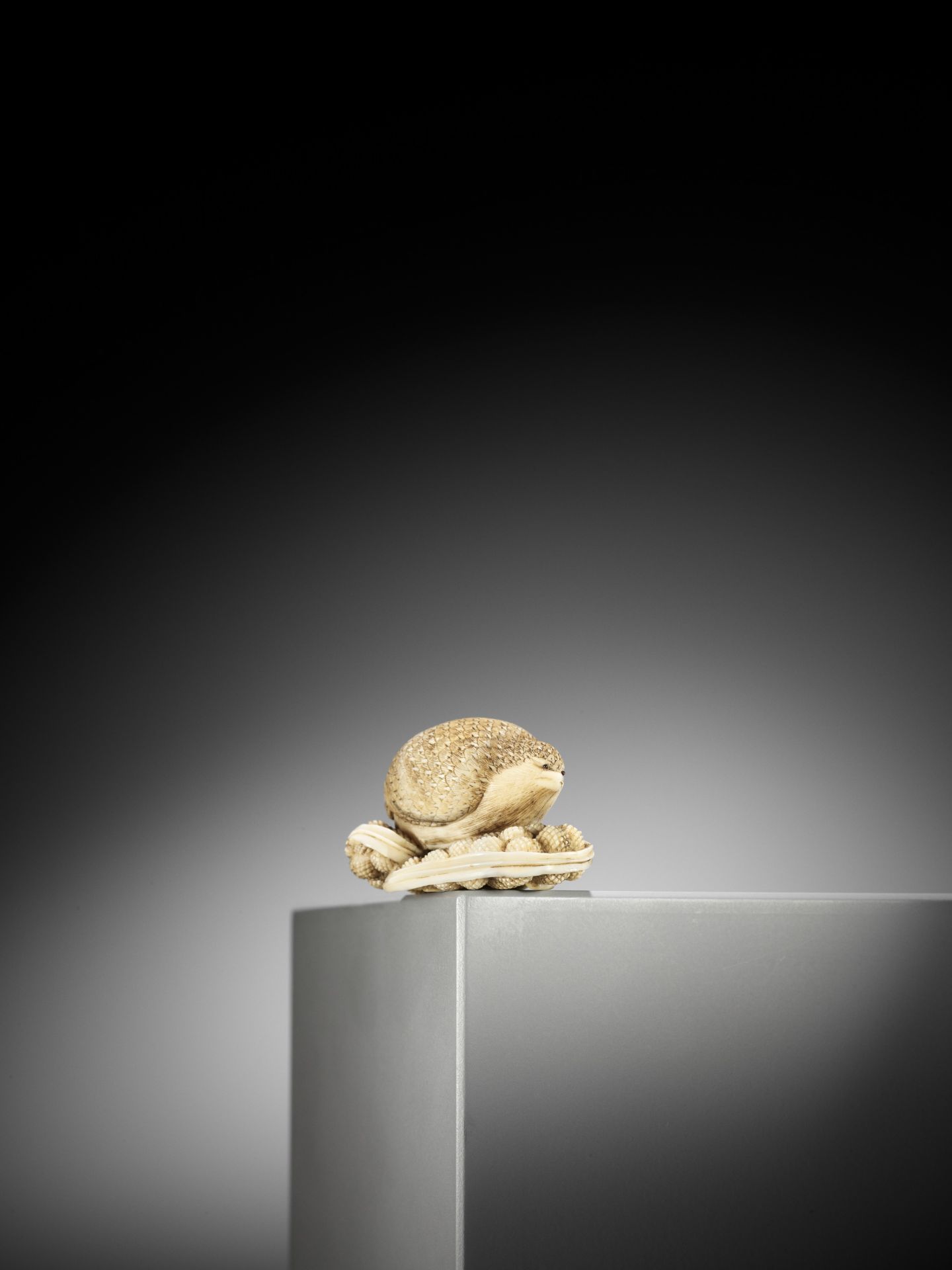 YOSHIKAZU: AN IVORY NETSUKE OF A QUIAL PERCHED ON MILLET - Image 13 of 14