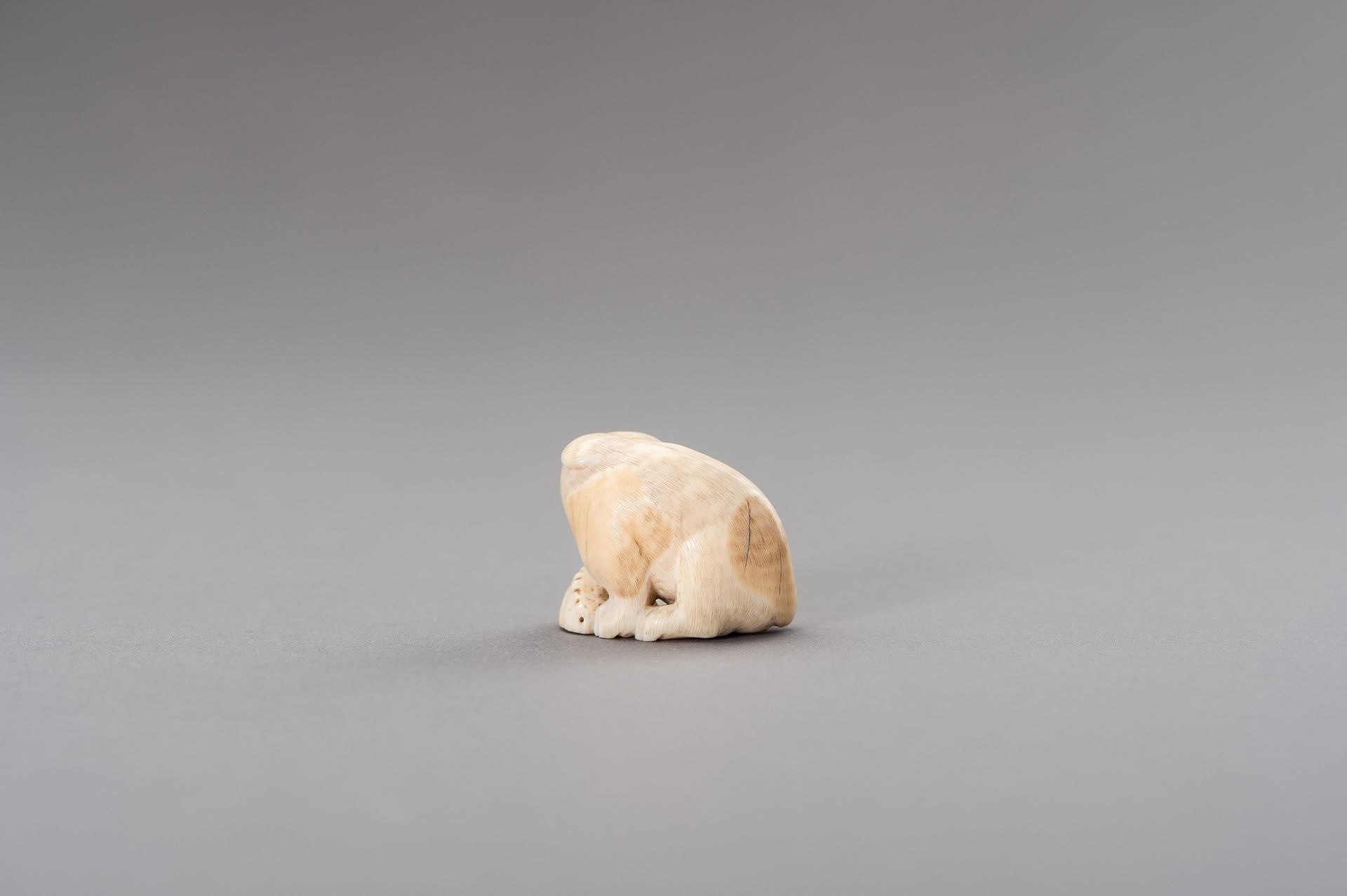 RANICHI: AN IVORY NETSUKE OF A PUPPY WITH AWABI - Image 5 of 11