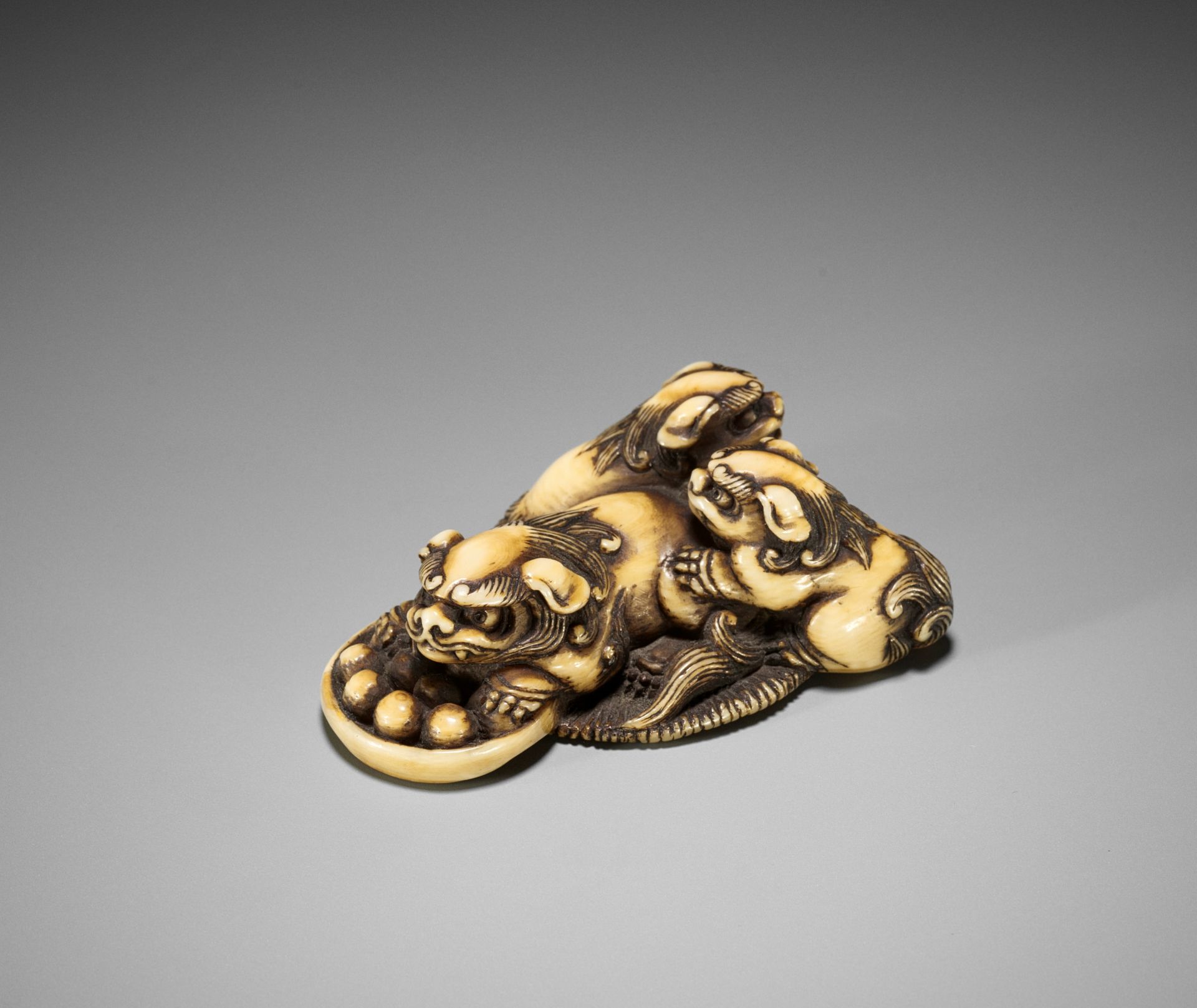 A FINE IVORY NETSUKE OF A GROUP OF SHISHI