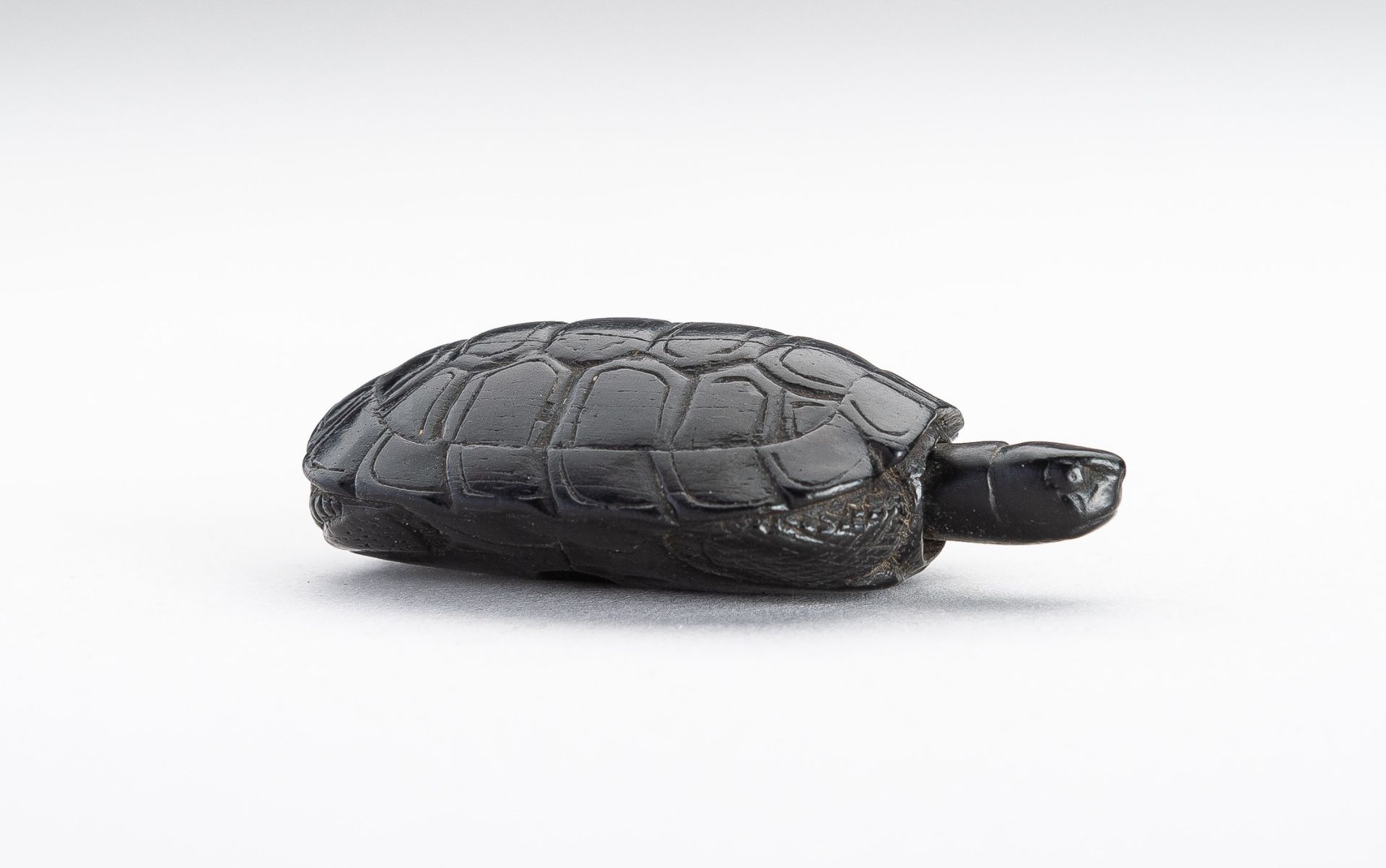 A WOOD NETSUKE OF A TORTOISE