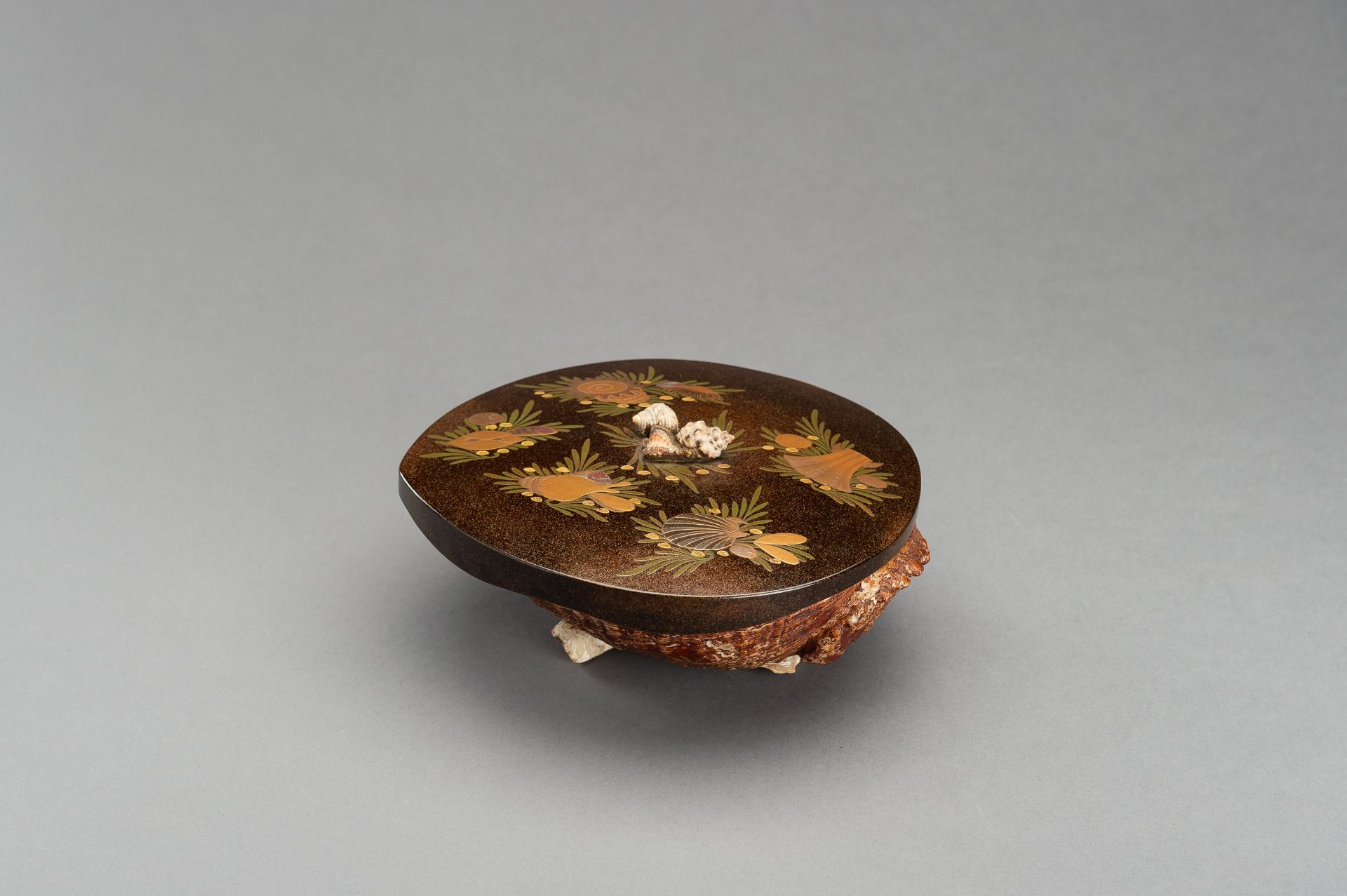 A UNIQUE AWABI SHELL WITH LACQUERED COVER - Image 7 of 14