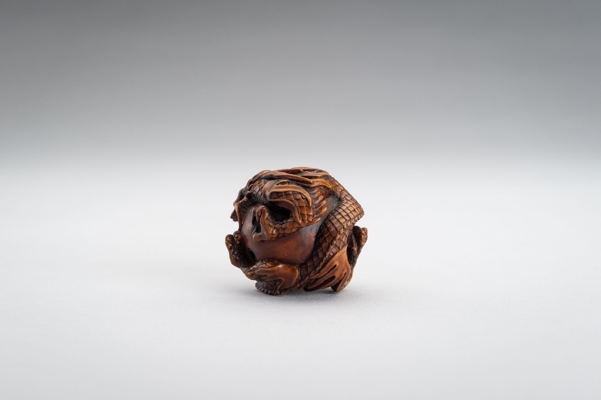 TOMOMASA: A BOXWOOD NETSUKE OF A COILED DRAGON - Image 3 of 15