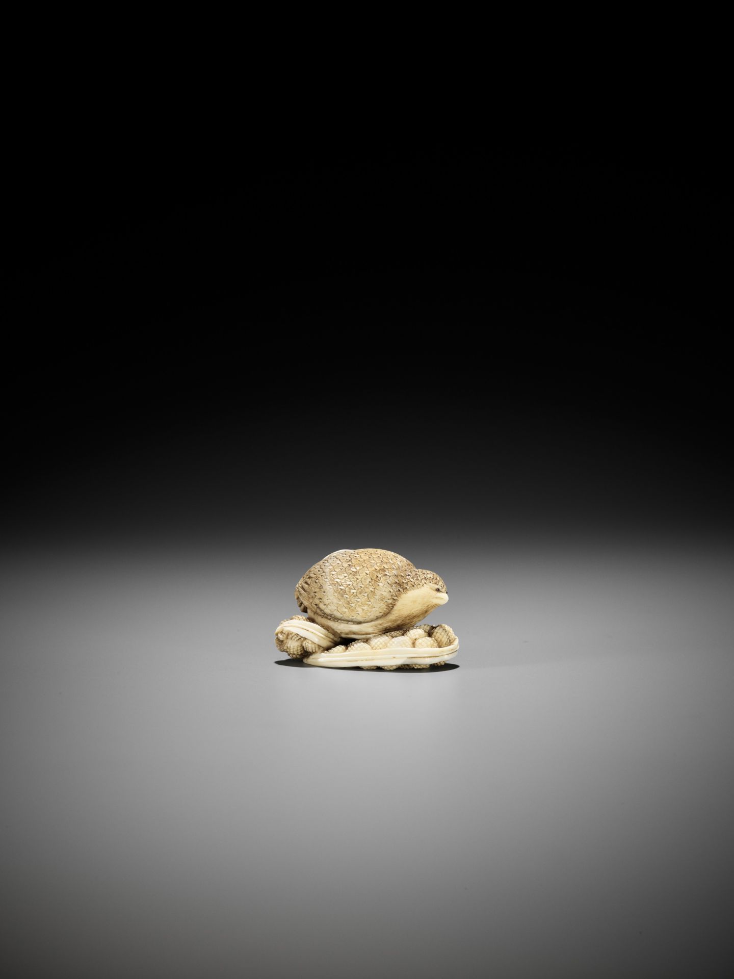 YOSHIKAZU: AN IVORY NETSUKE OF A QUIAL PERCHED ON MILLET - Image 2 of 14