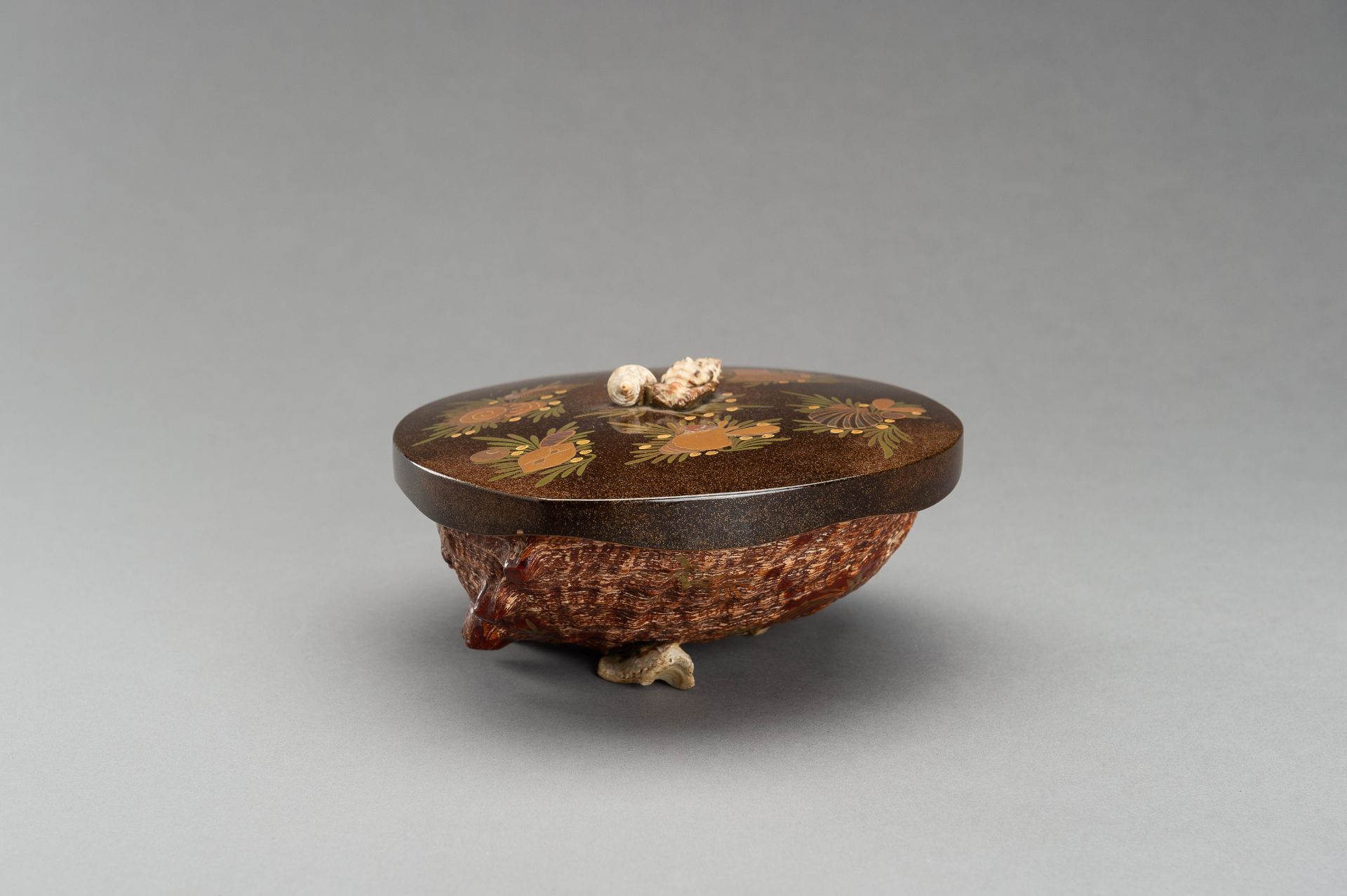 A UNIQUE AWABI SHELL WITH LACQUERED COVER - Image 12 of 14