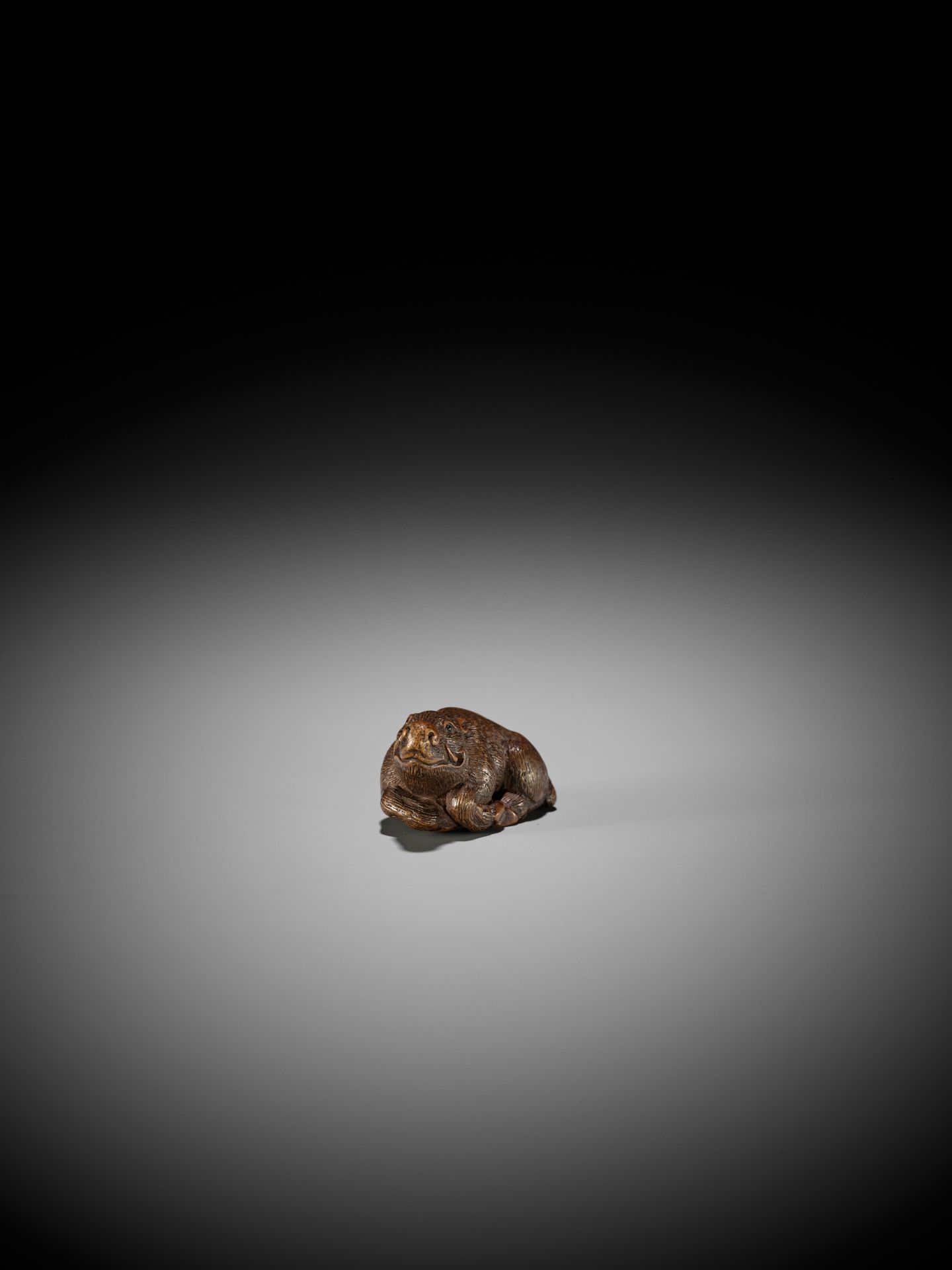 KOKEI: A FINE WOOD NETSUKE OF A RECUMBENT BOAR - Image 12 of 14