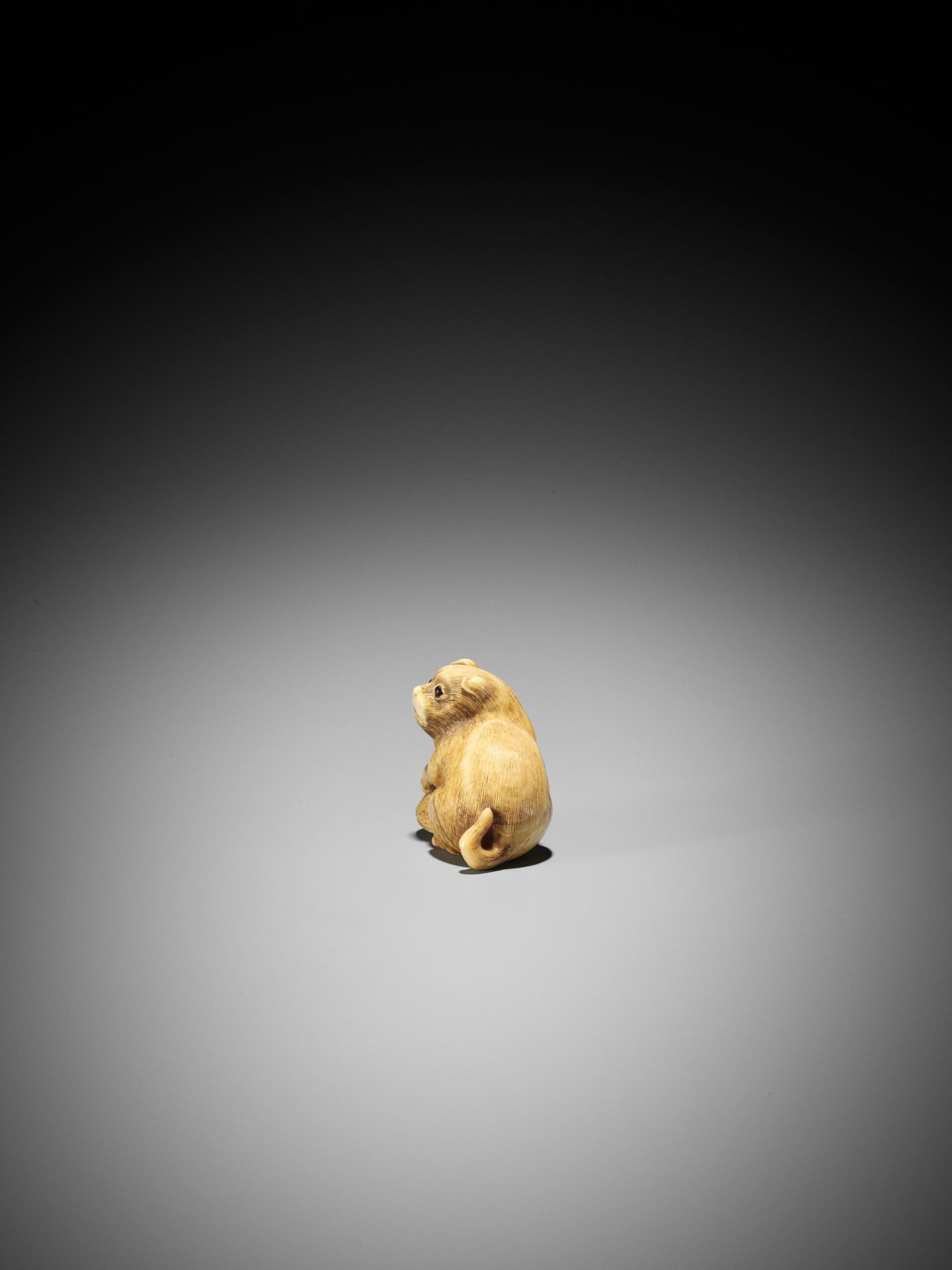 A GOOD KYOTO SCHOOL IVORY NETSUKE OF A PUPPY WITH AWABI - Bild 4 aus 9