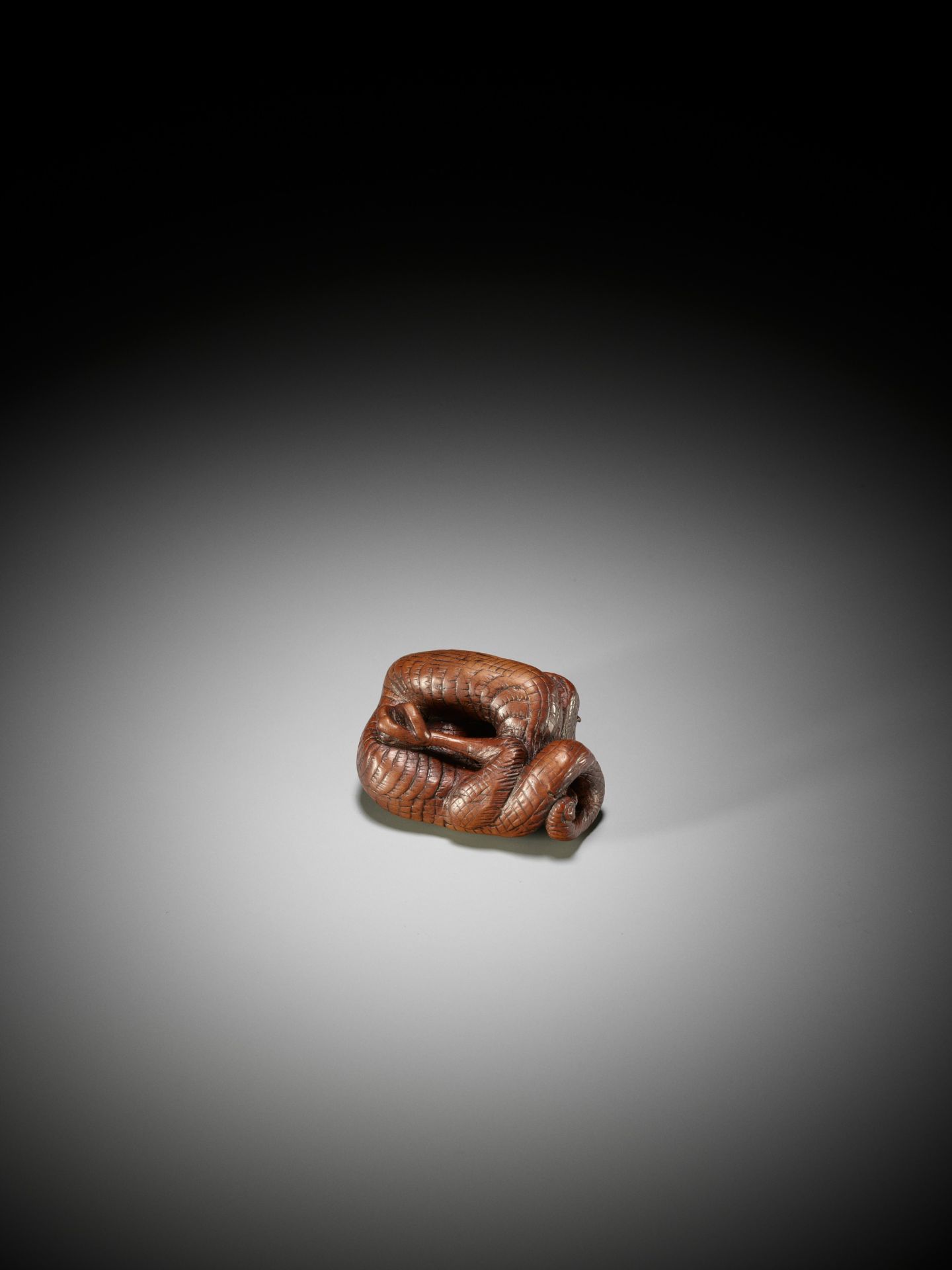 A SUPERB WOOD NETSUKE OF A COILED DRAGON - Image 3 of 14