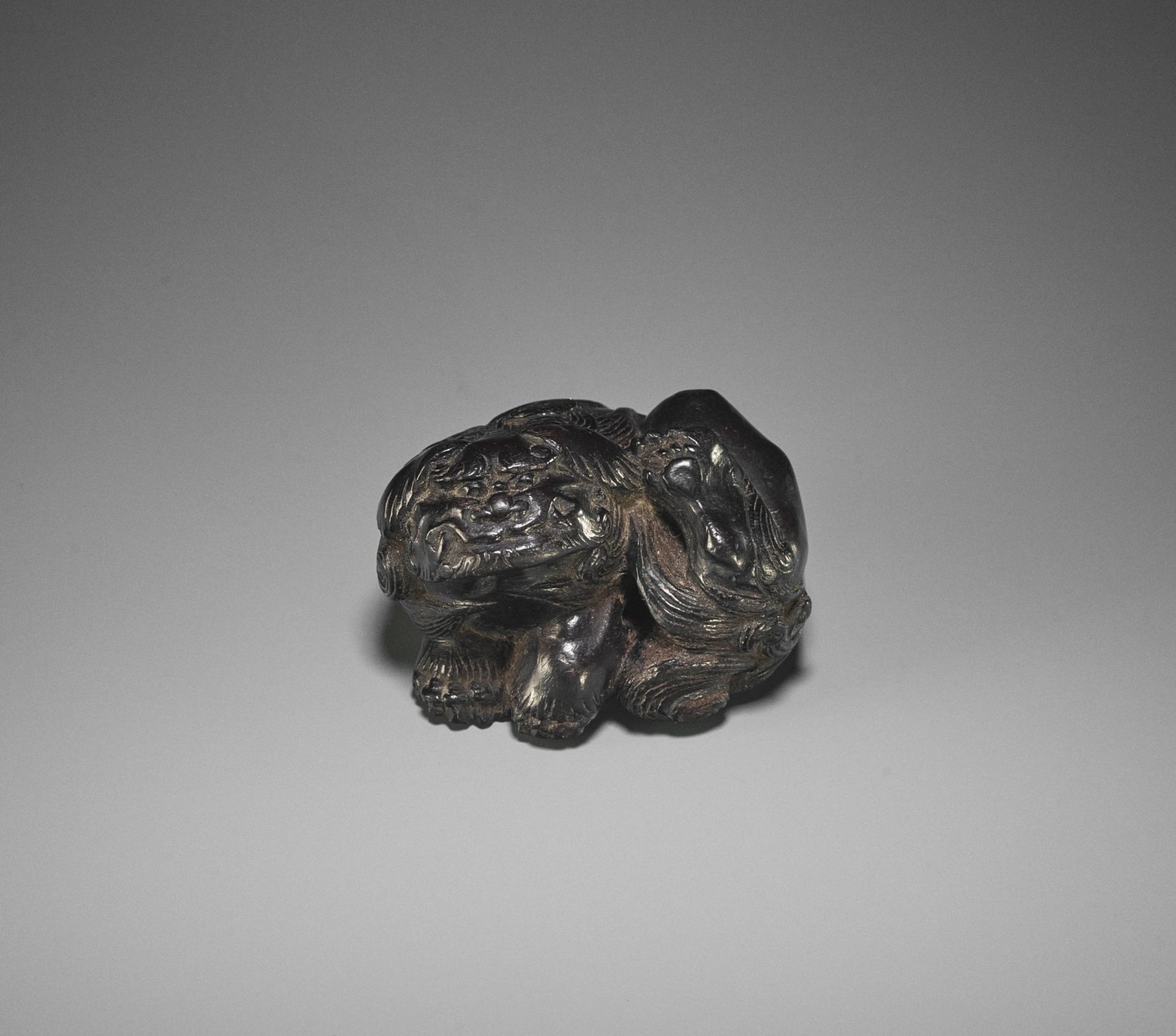 KOKEI: A RARE EBONY WOOD NETSUKE OF A SHISHI SCRATCHING HIS EAR