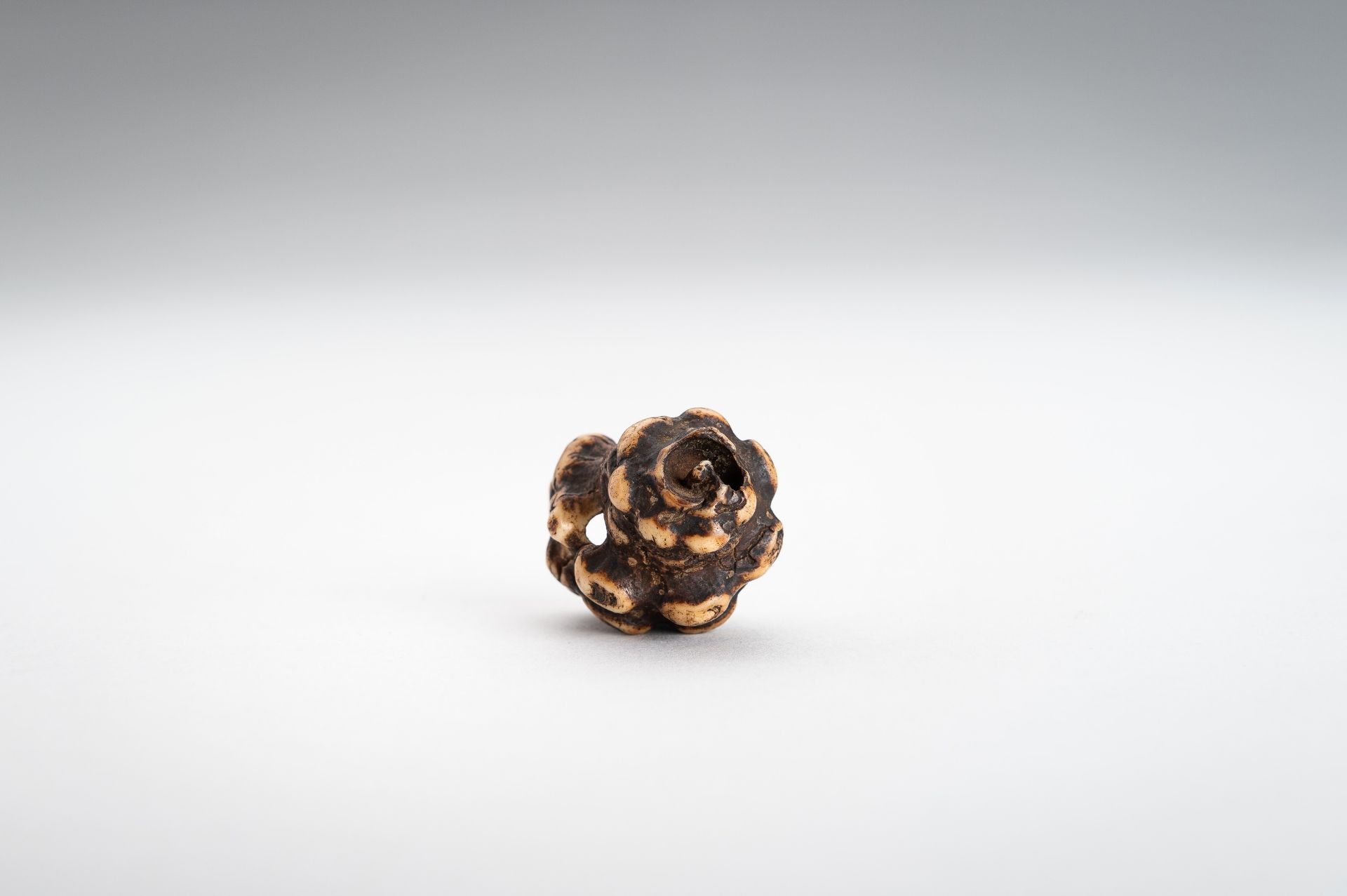 A STAG ANTLER NETSUKE OF A HORAGAI - Image 9 of 11