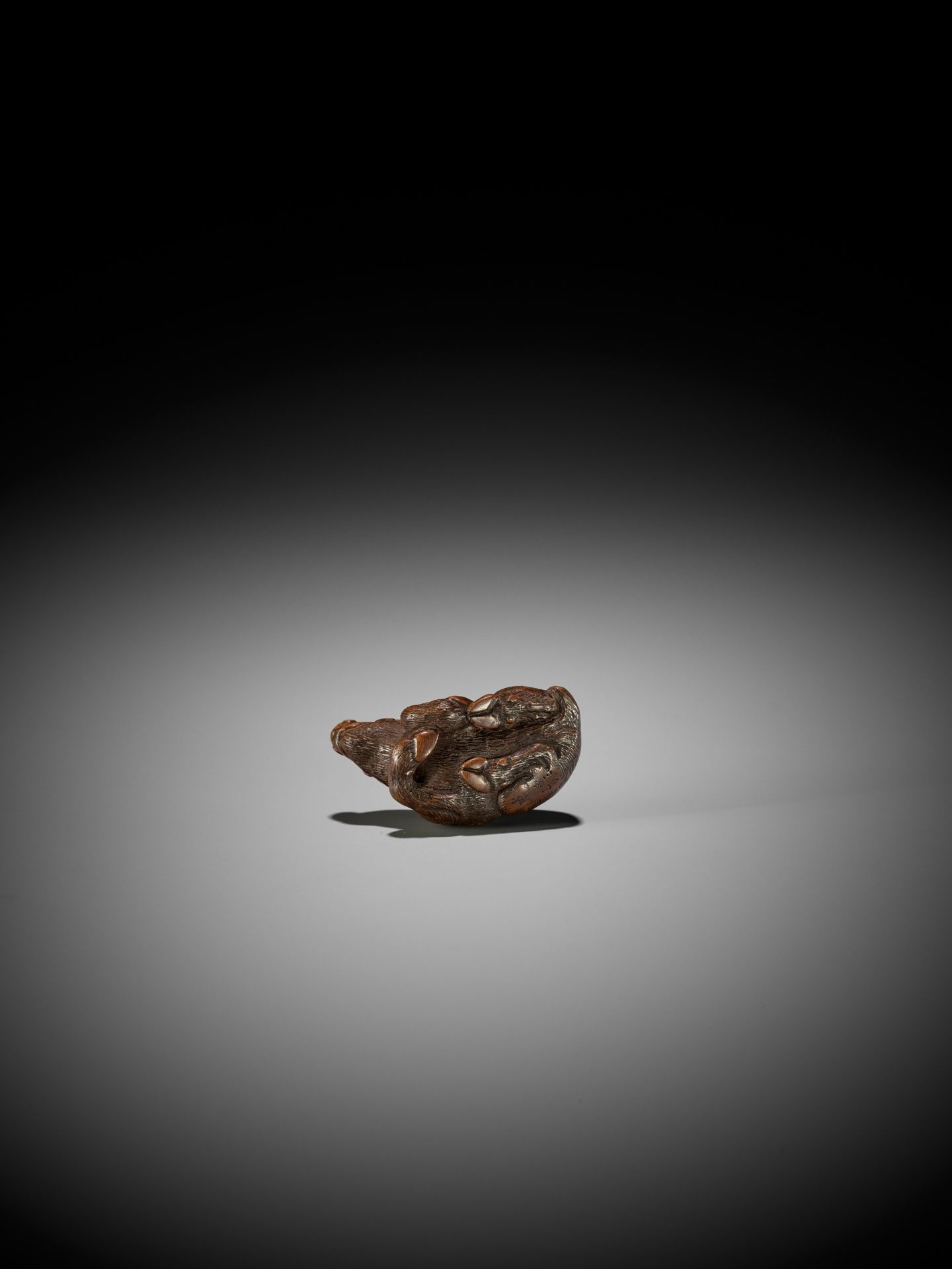 KOKEI: A FINE WOOD NETSUKE OF A RECUMBENT BOAR - Image 4 of 14