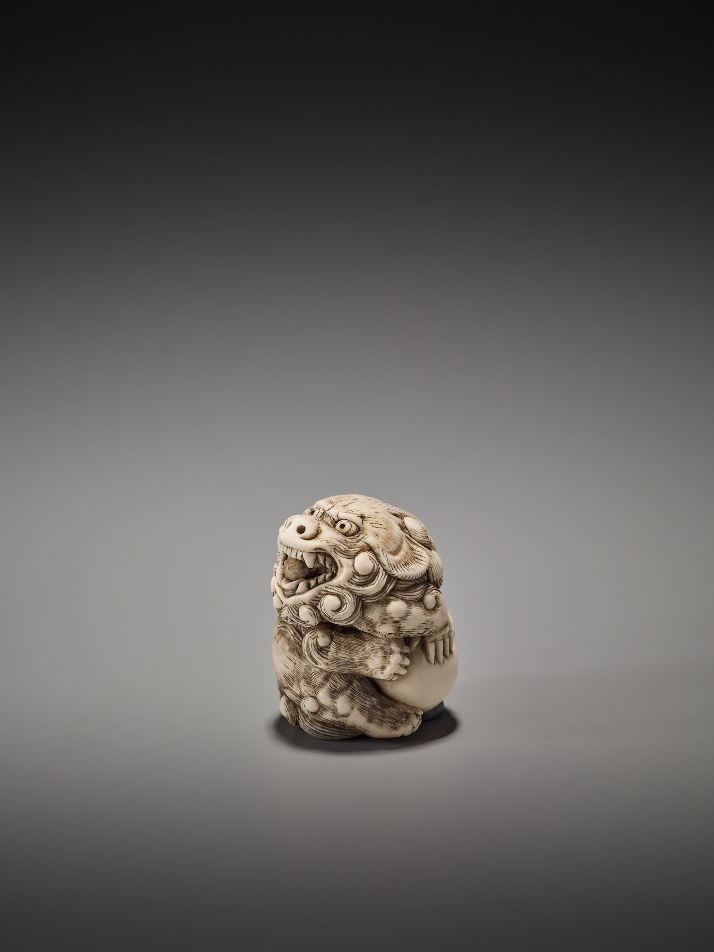 A GOOD IVORY NETSUKE OF A POWERFUL SHISHI ATTRIBUTED TO MITSUHARU - Image 2 of 8