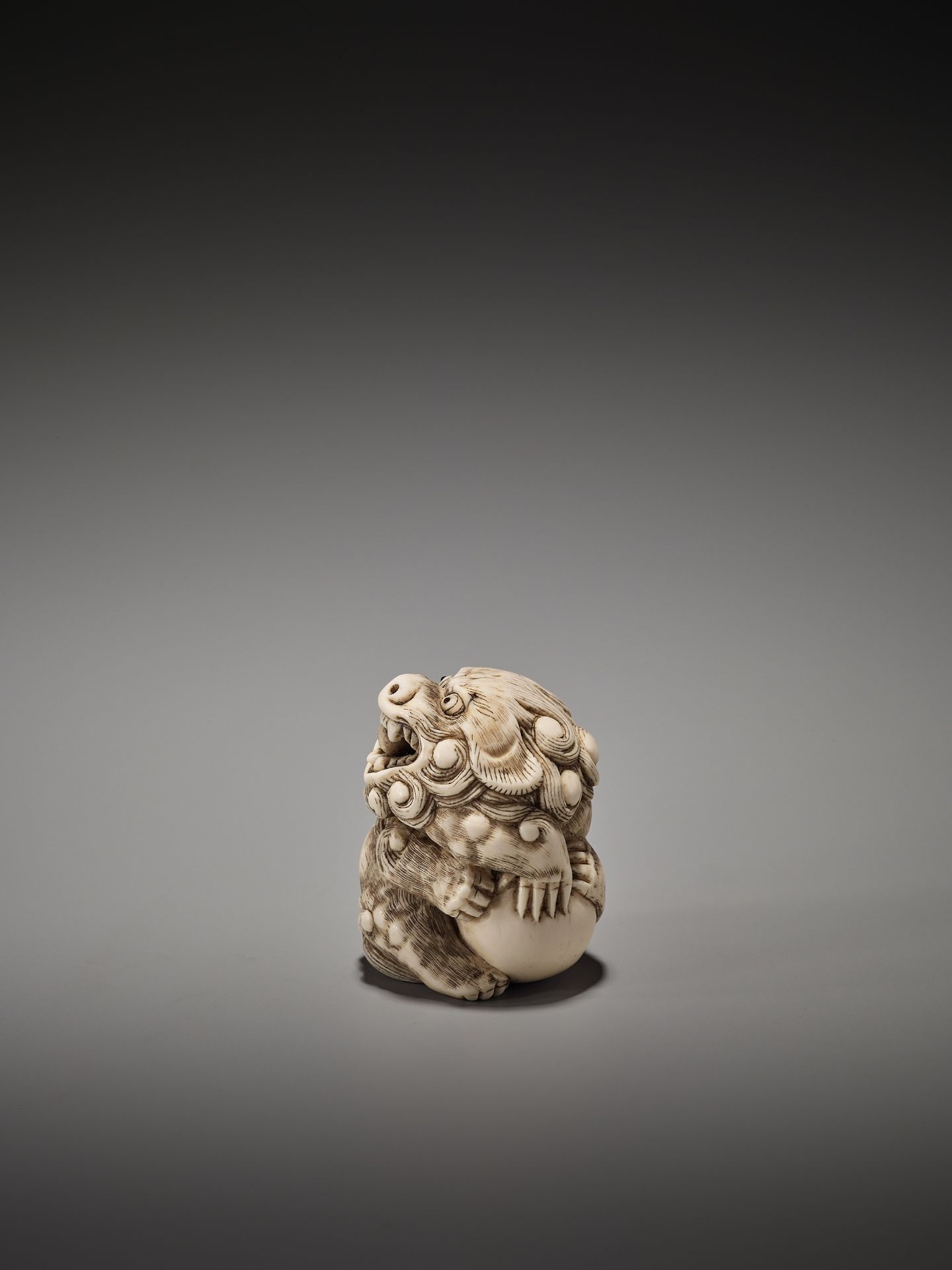 A GOOD IVORY NETSUKE OF A POWERFUL SHISHI ATTRIBUTED TO MITSUHARU - Image 3 of 8