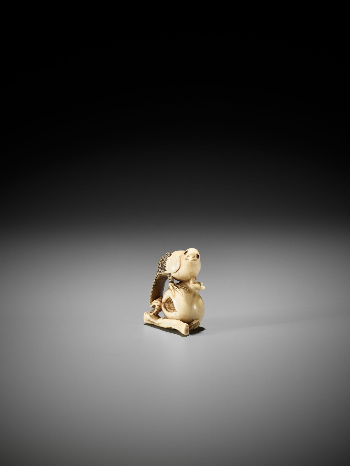 AN IVORY NETSUKE OF A PIGEON PERCHED ON A POMEGRANATE, ATTRIBUTED TO ANRAKU - Bild 3 aus 9