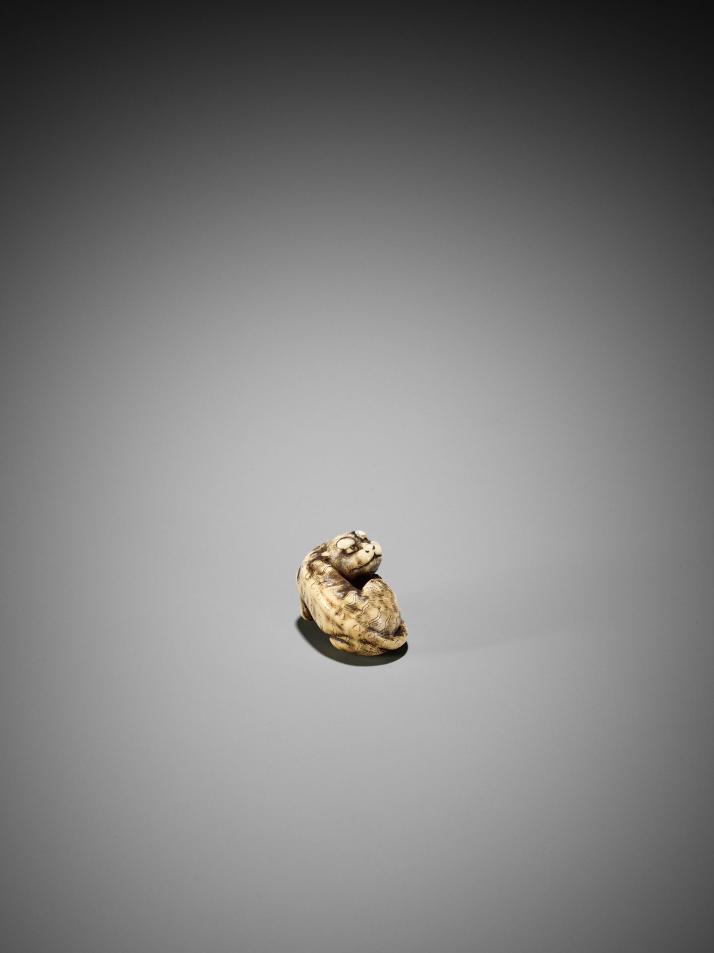 A GOOD KYOTO SCHOOL IVORY NETSUKE OF A TIGER - Image 4 of 15