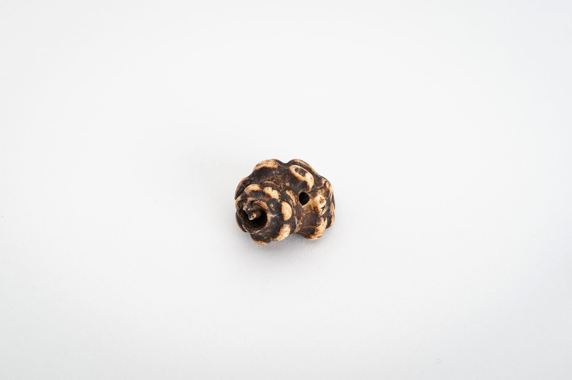 A STAG ANTLER NETSUKE OF A HORAGAI - Image 6 of 11