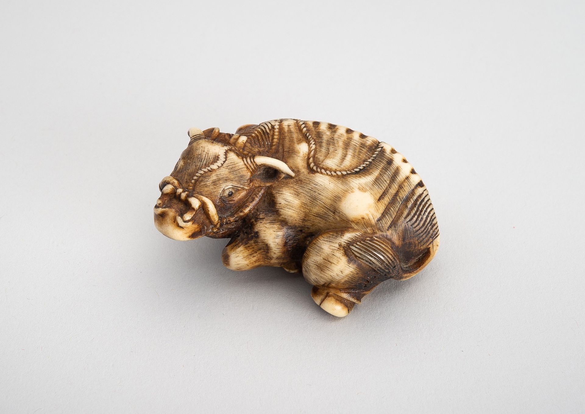 A STAG ANTLER NETSUKE OF RECUMBENT OX