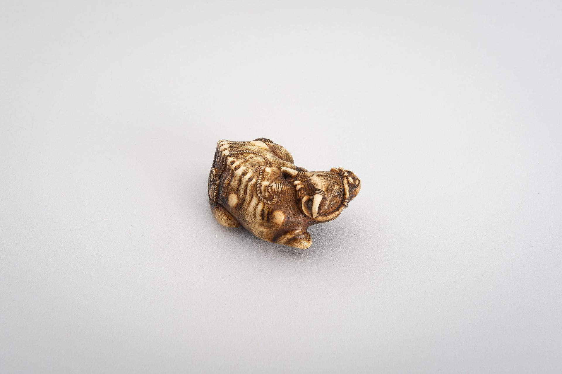 A STAG ANTLER NETSUKE OF RECUMBENT OX - Image 9 of 11