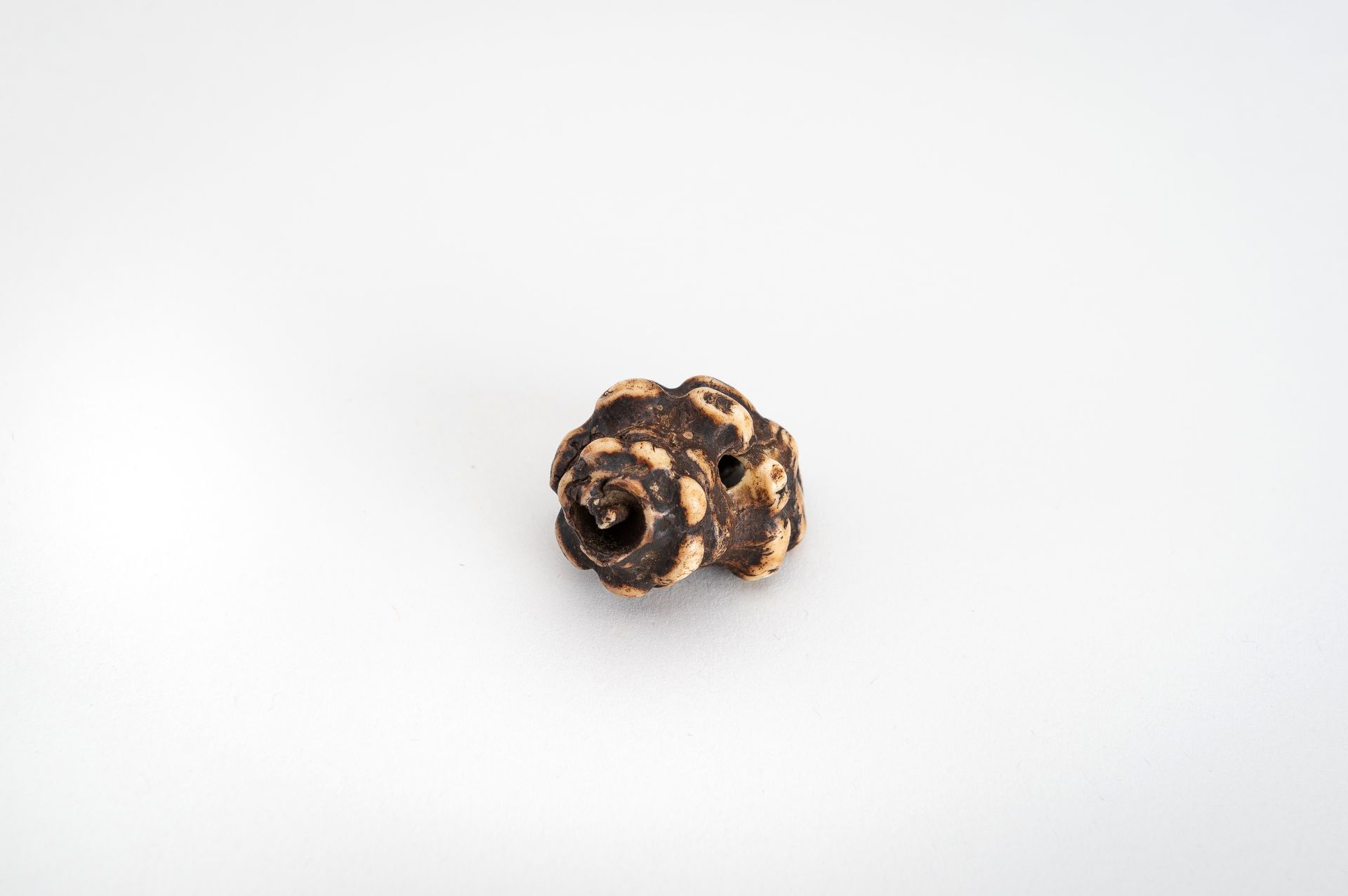 A STAG ANTLER NETSUKE OF A HORAGAI - Image 7 of 11
