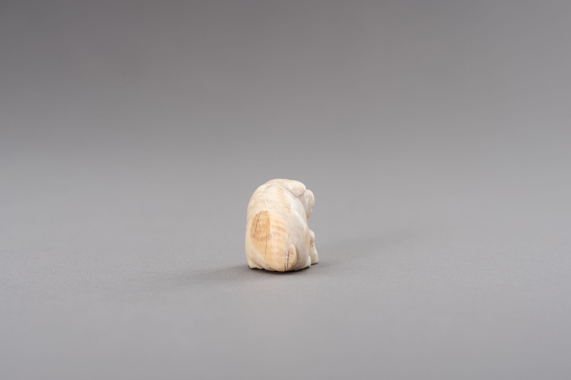 RANICHI: AN IVORY NETSUKE OF A PUPPY WITH AWABI - Image 6 of 11