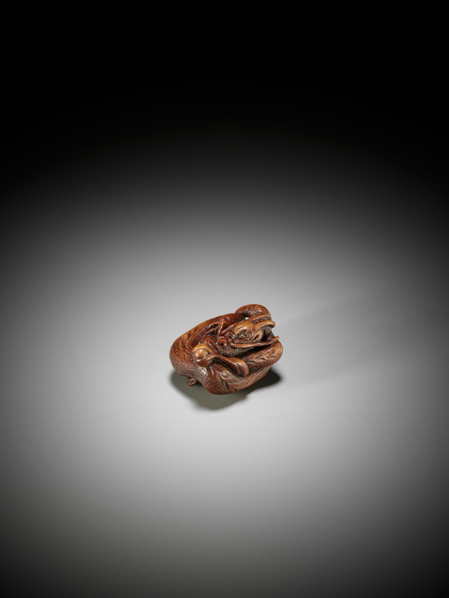 A SUPERB WOOD NETSUKE OF A COILED DRAGON - Image 8 of 14