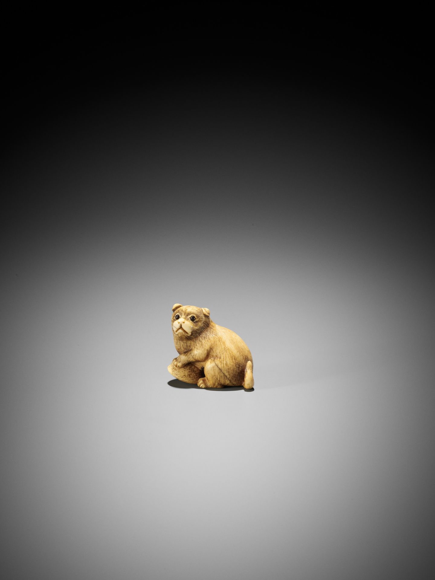 A GOOD KYOTO SCHOOL IVORY NETSUKE OF A PUPPY WITH AWABI - Image 3 of 9