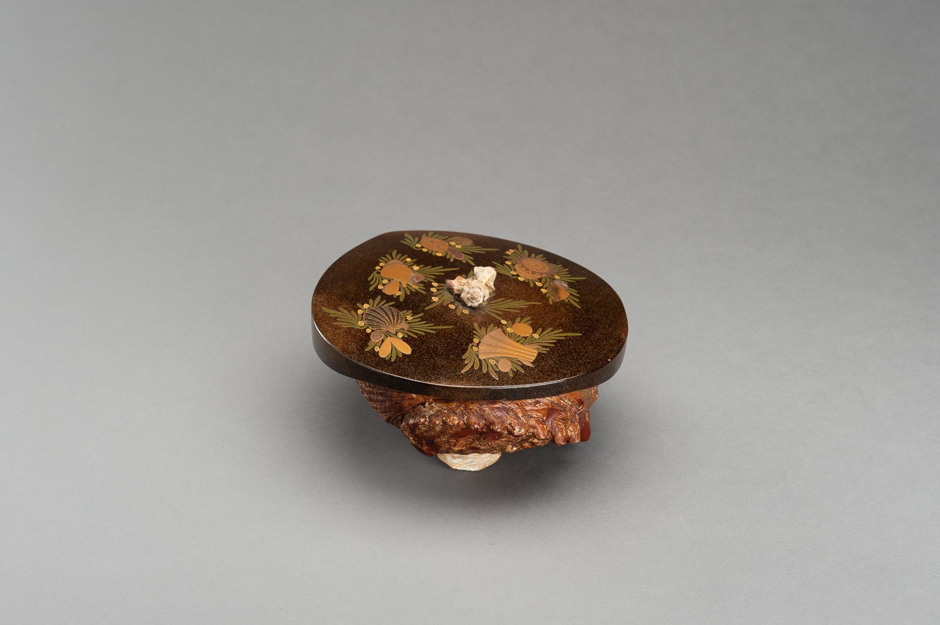 A UNIQUE AWABI SHELL WITH LACQUERED COVER - Image 8 of 14