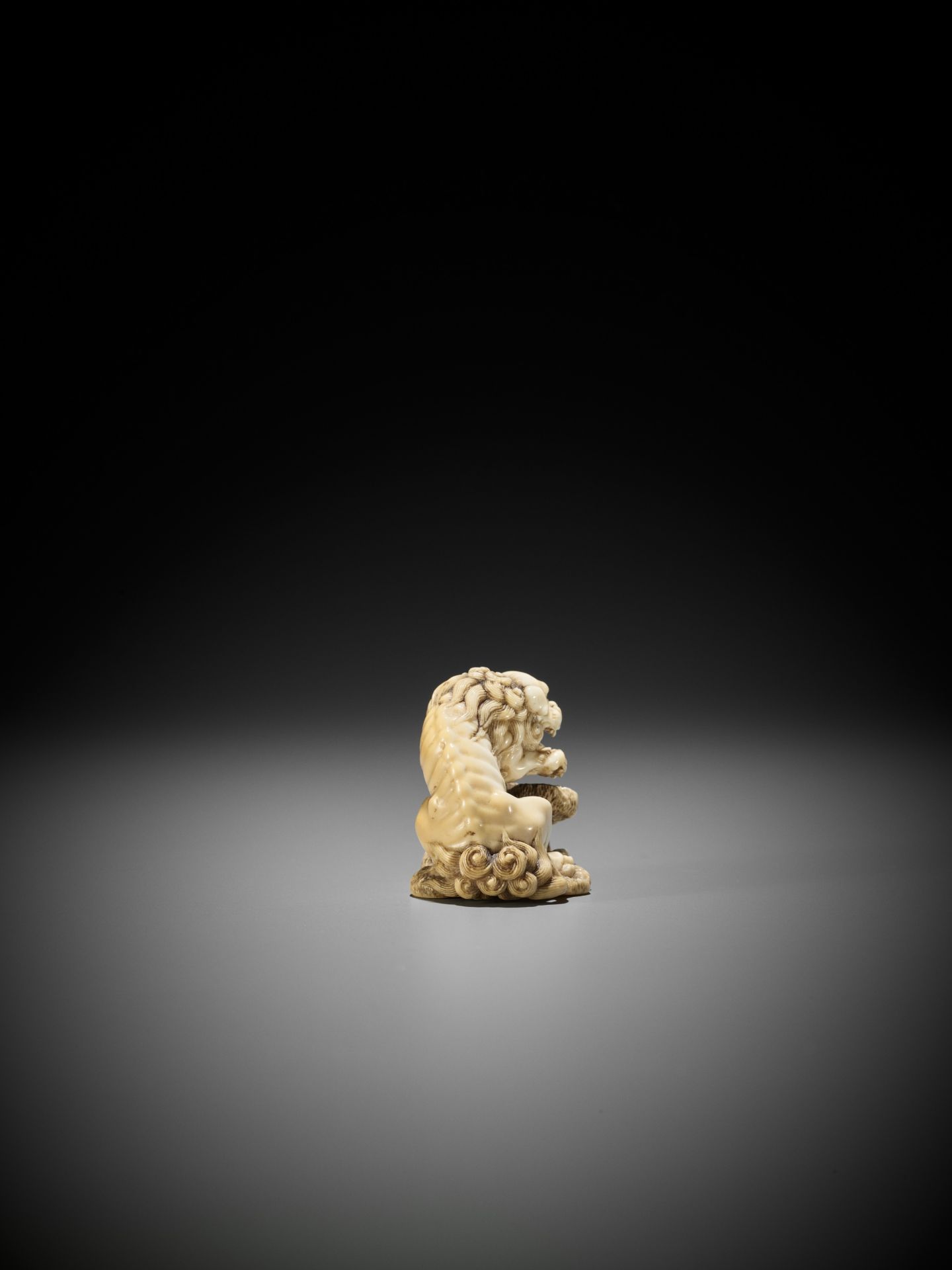 A SUPERB IVORY NETSUKE OF A ROARING SHISHI WITH ROCK AND LOOSE BALL - Image 9 of 14