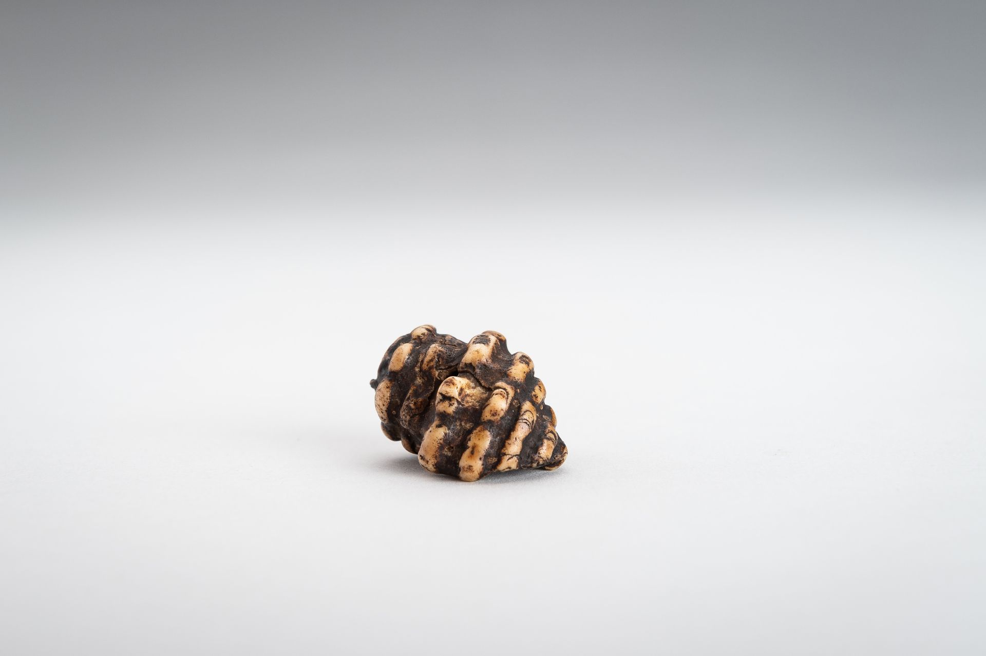 A STAG ANTLER NETSUKE OF A HORAGAI - Image 2 of 11