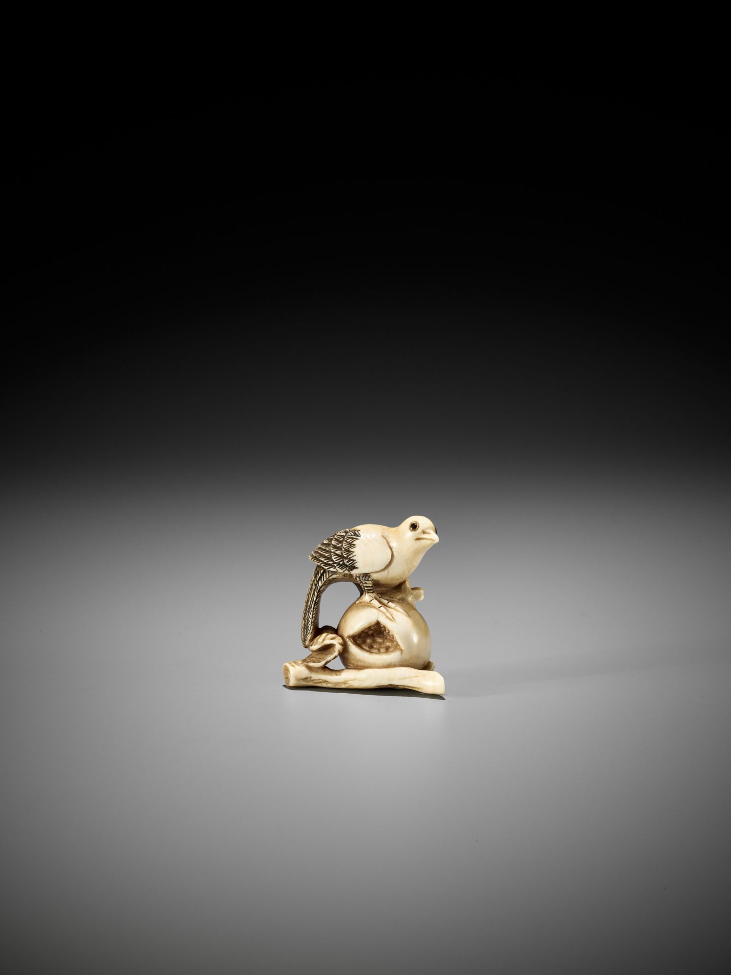 AN IVORY NETSUKE OF A PIGEON PERCHED ON A POMEGRANATE, ATTRIBUTED TO ANRAKU - Image 2 of 9